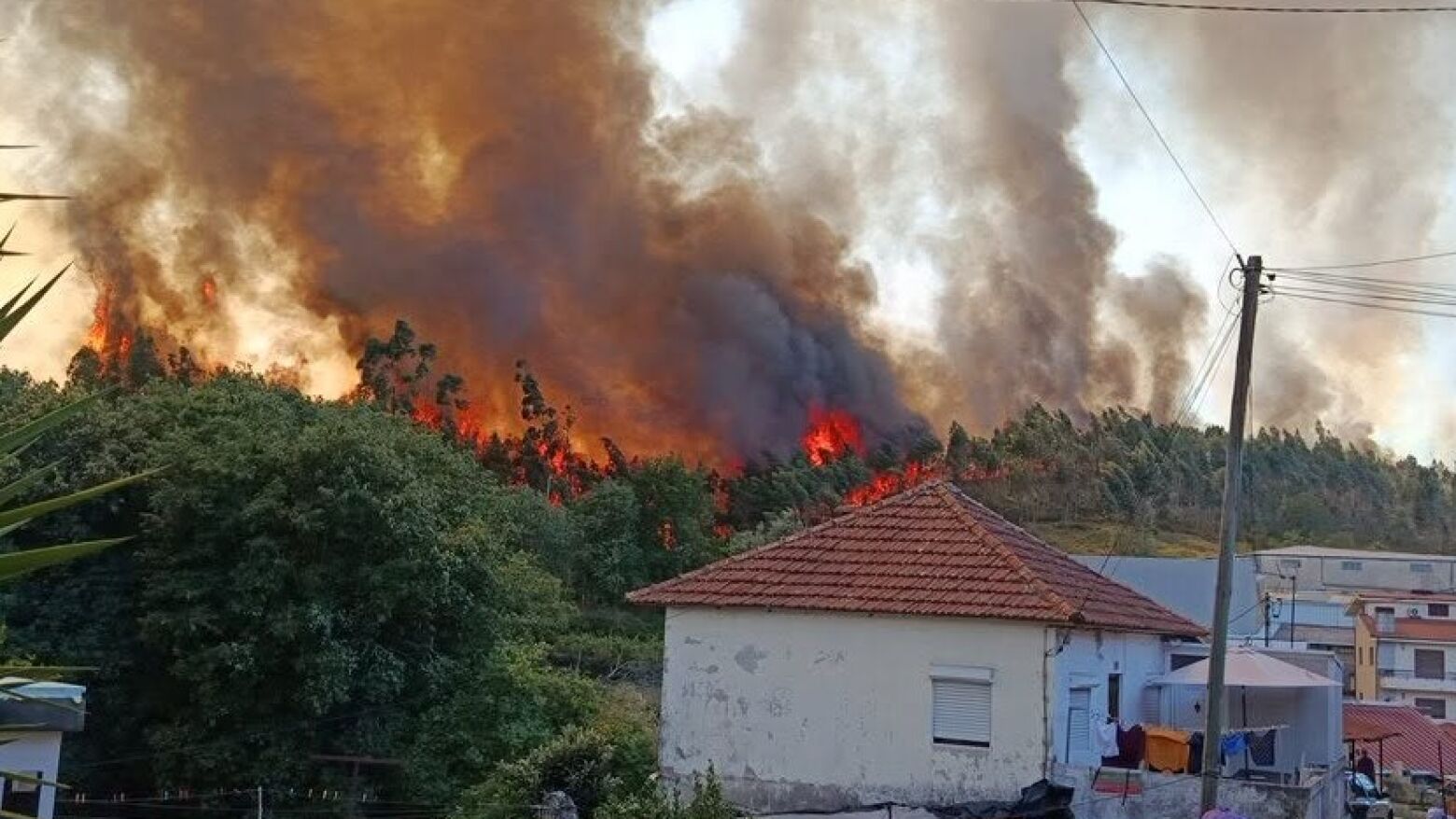 Valongo: Inc&ecirc;ndio em Sobrado corta Nacional 209 e mobiliza mais de uma centena de operacionais