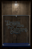 Dragões para Sempre