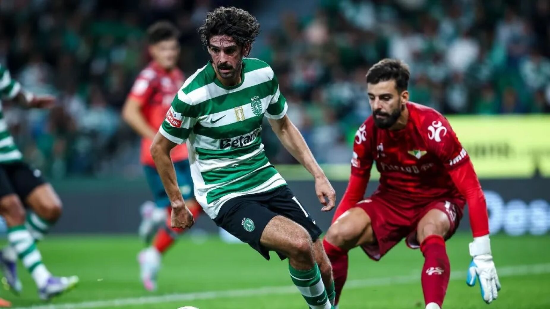 Le&otilde;es invadem Moreira de C&oacute;negos? Sporting j&aacute; vende bilhetes e h&aacute; regras apertadas