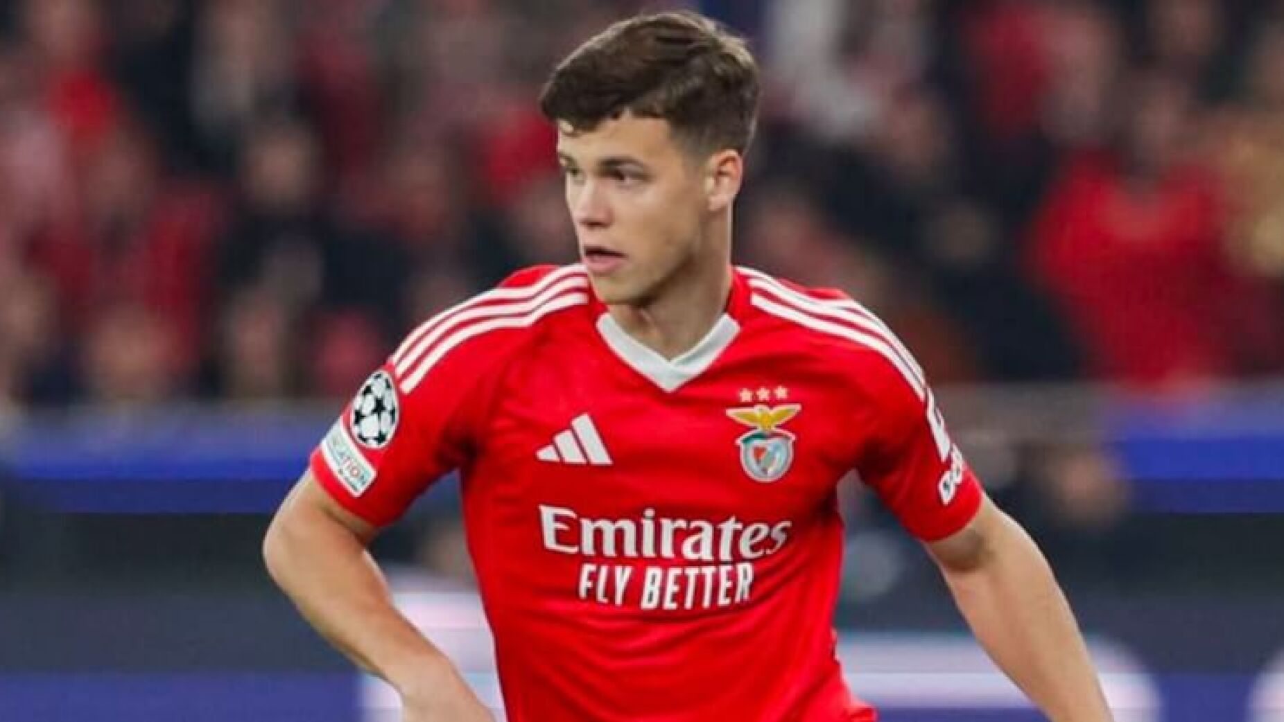 Samuel Dahl: "A época dirá se o Benfica é um passo em frente"