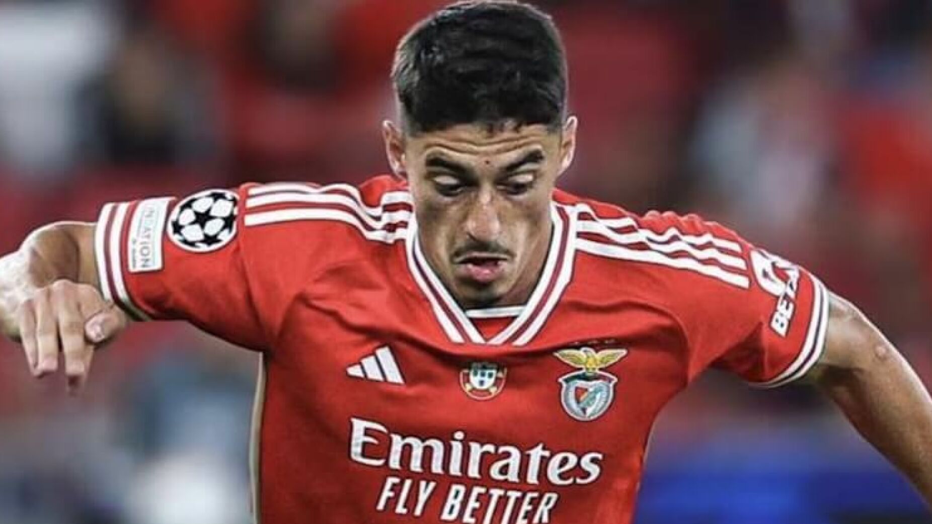 Más notícias para Tiago Gouveia após longo período de ausência