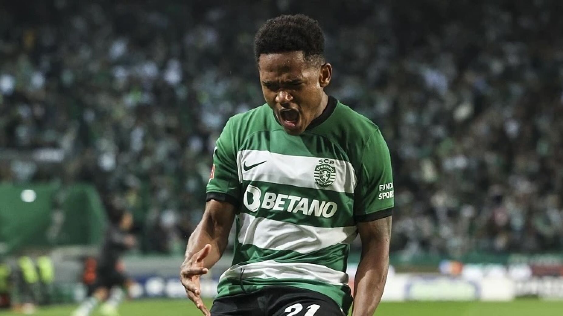 H&aacute; um le&atilde;o em crescimento&hellip; e os n&uacute;meros come&ccedil;am a falar por si