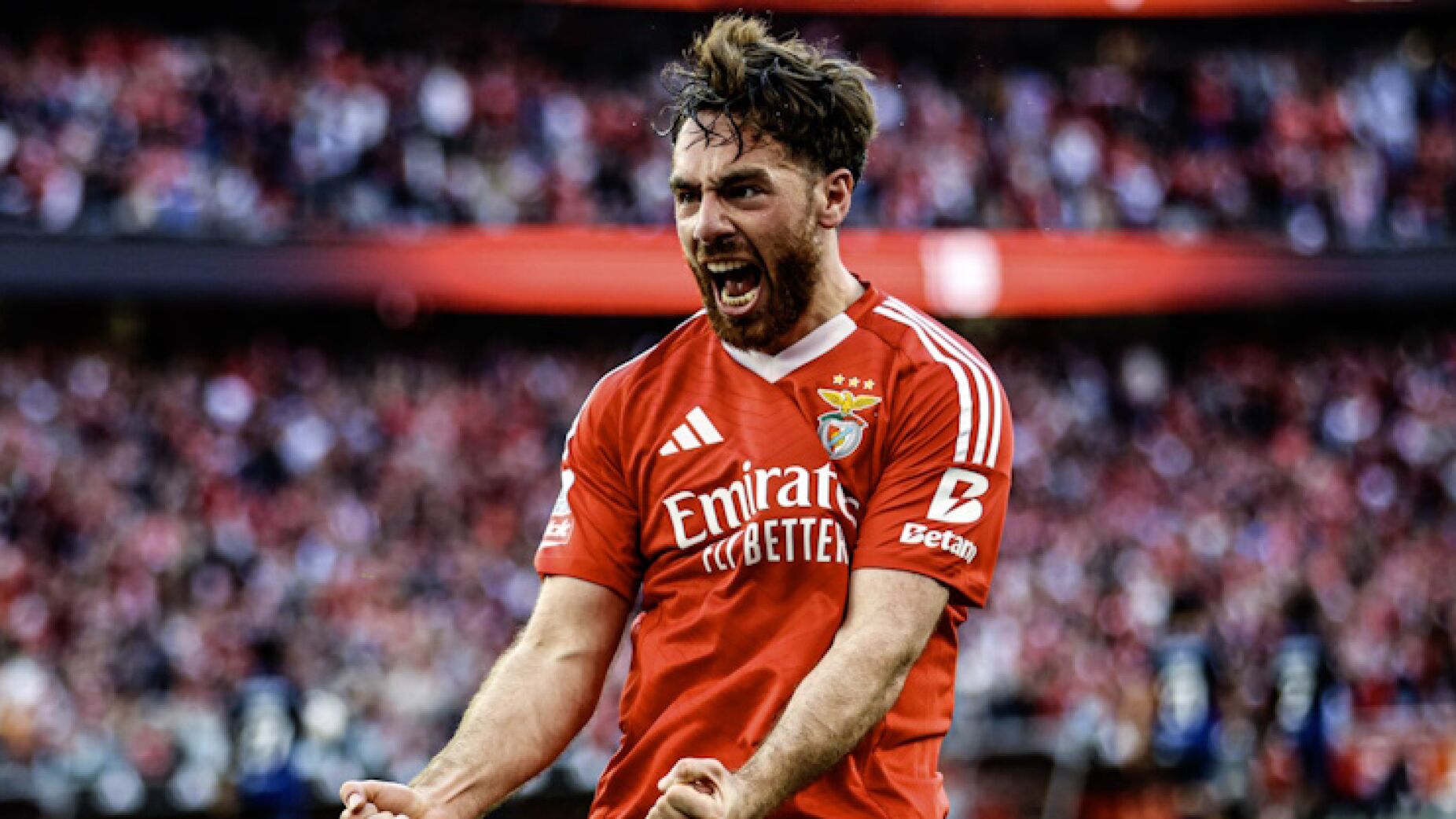 Acordo iminente: Orkun Kokçu está de saída do Benfica