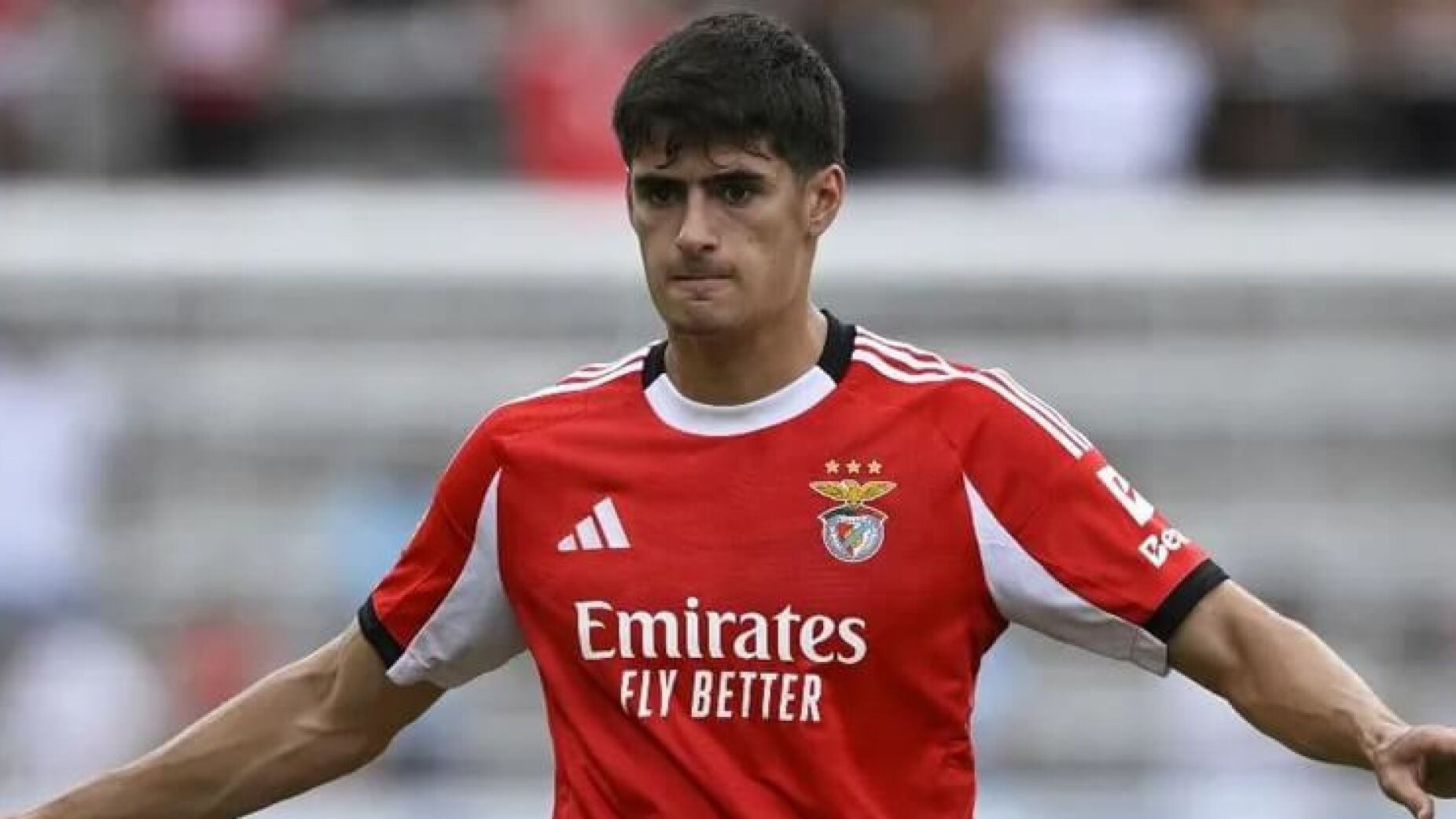 Renovação de António Silva a caminho: Eis o ponto de situação