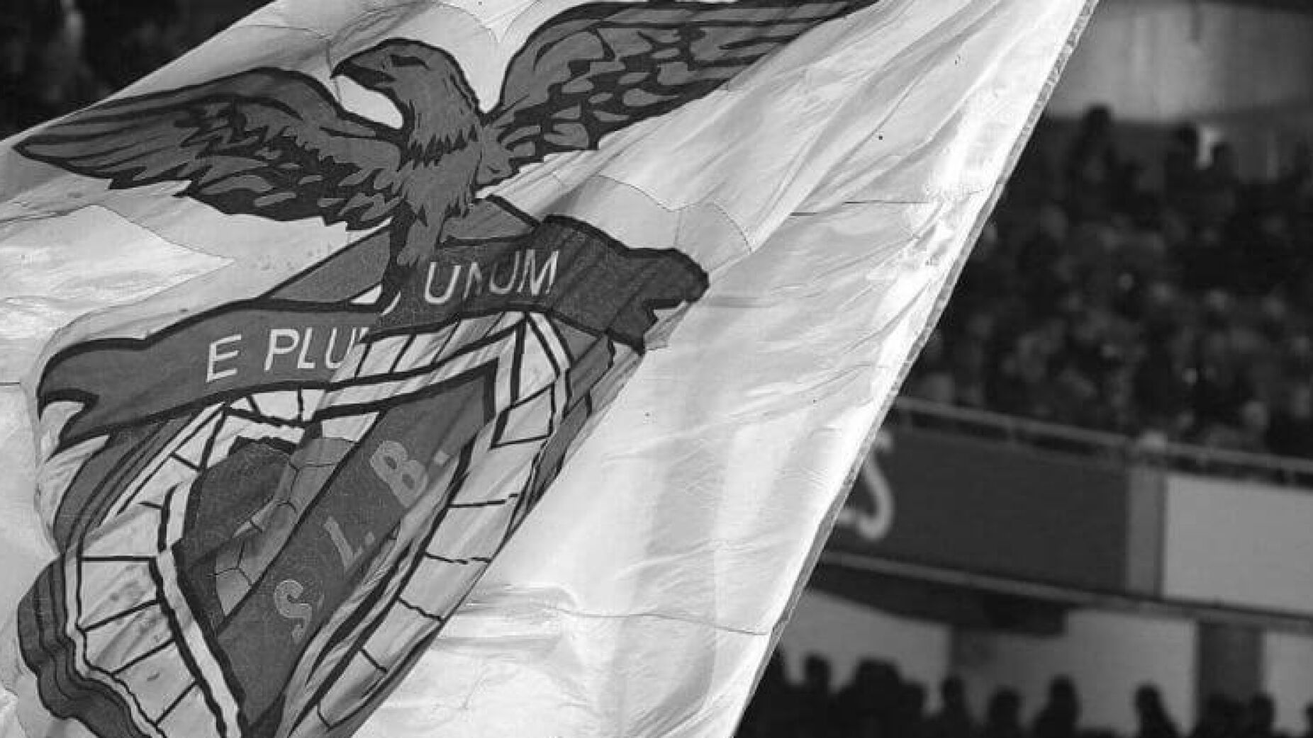 Luto: Benfica chora a morte de histórico dirigente