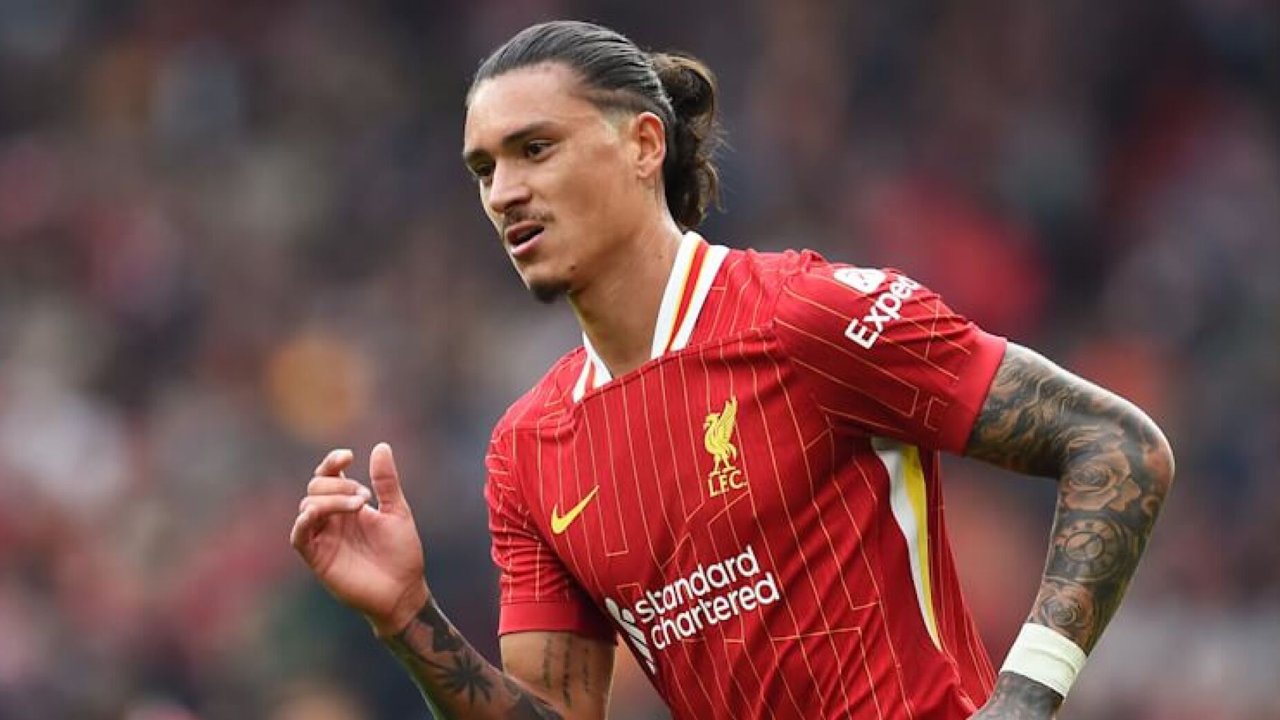 Darwin pode ser envolvido em troca bombástica entre Liverpool e Nápoles