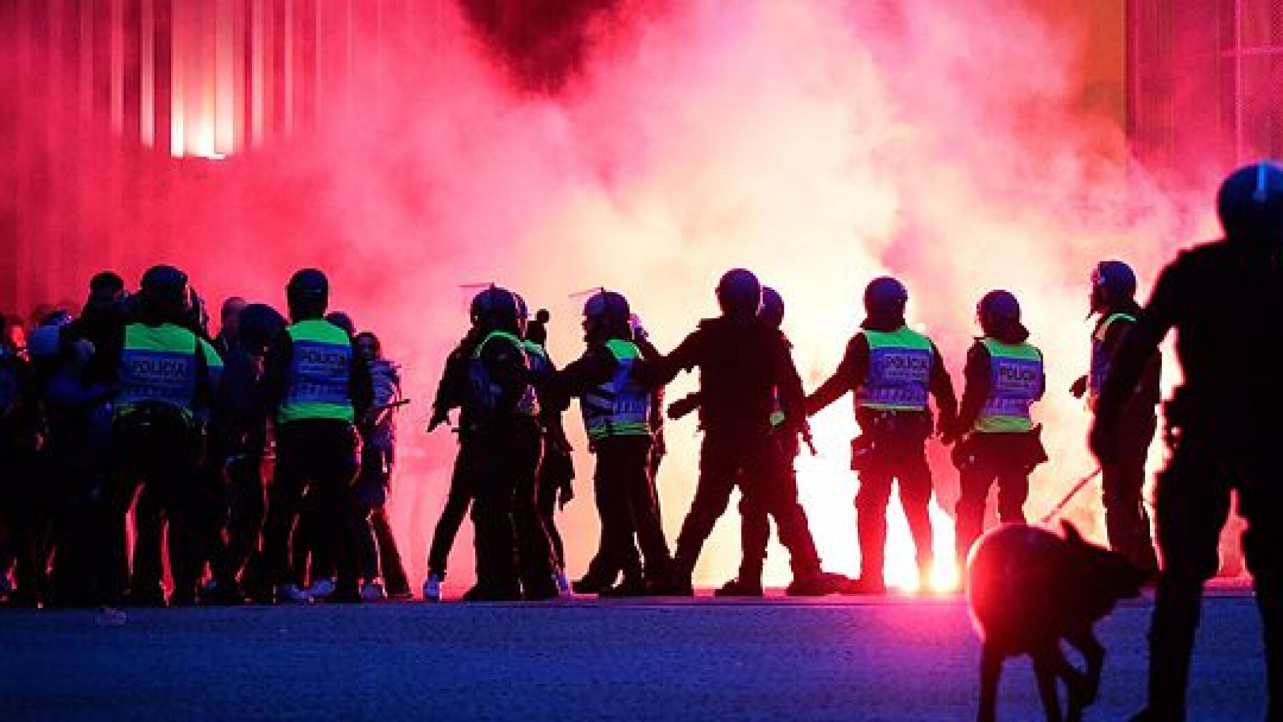 Viol&ecirc;ncia no futebol cai 37% em Portugal, mas Liga alerta: &ldquo;A vigil&acirc;ncia tem de ser permanente&rdquo;