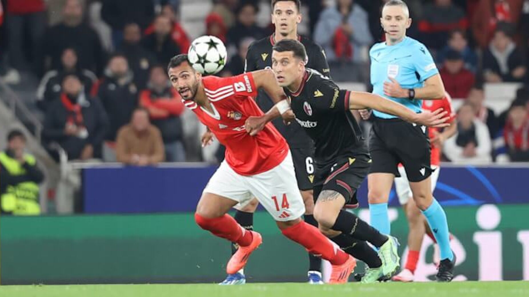 A reação do treinador do Bolonha após o empate com o Benfica