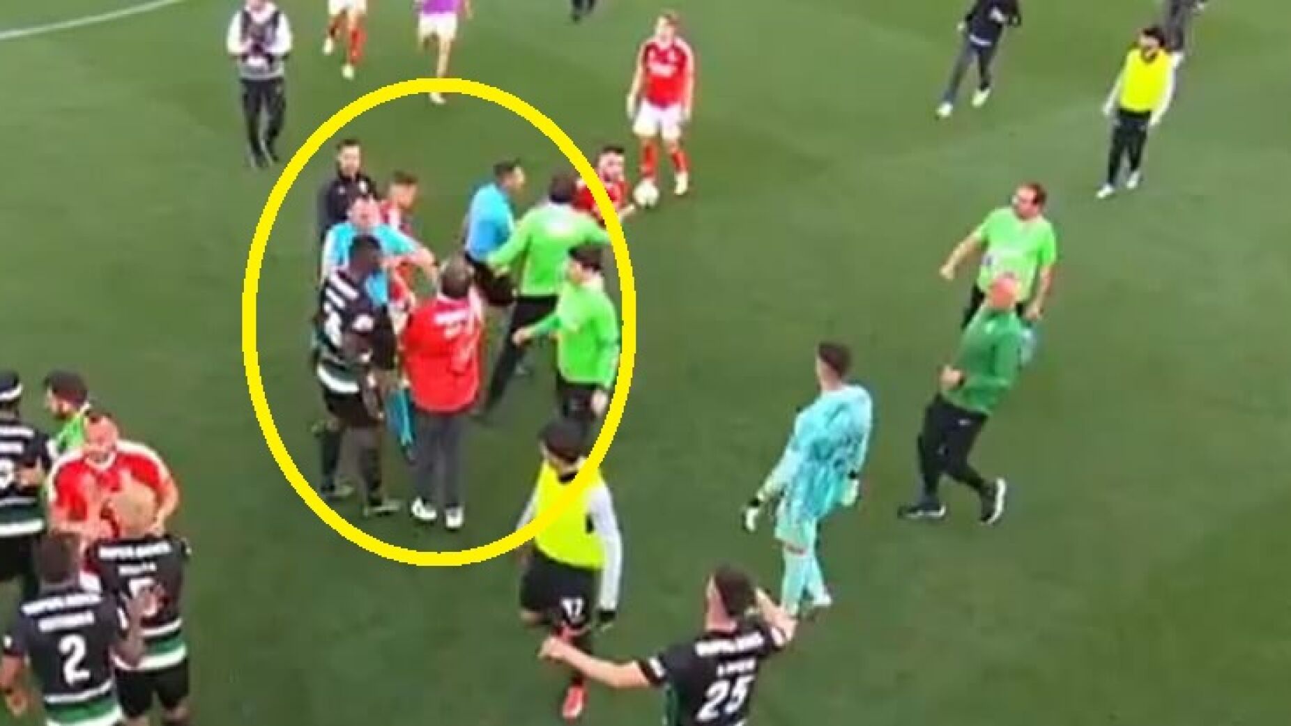 Adepto do Benfica invade o relvado e atira-se à cara do árbitro