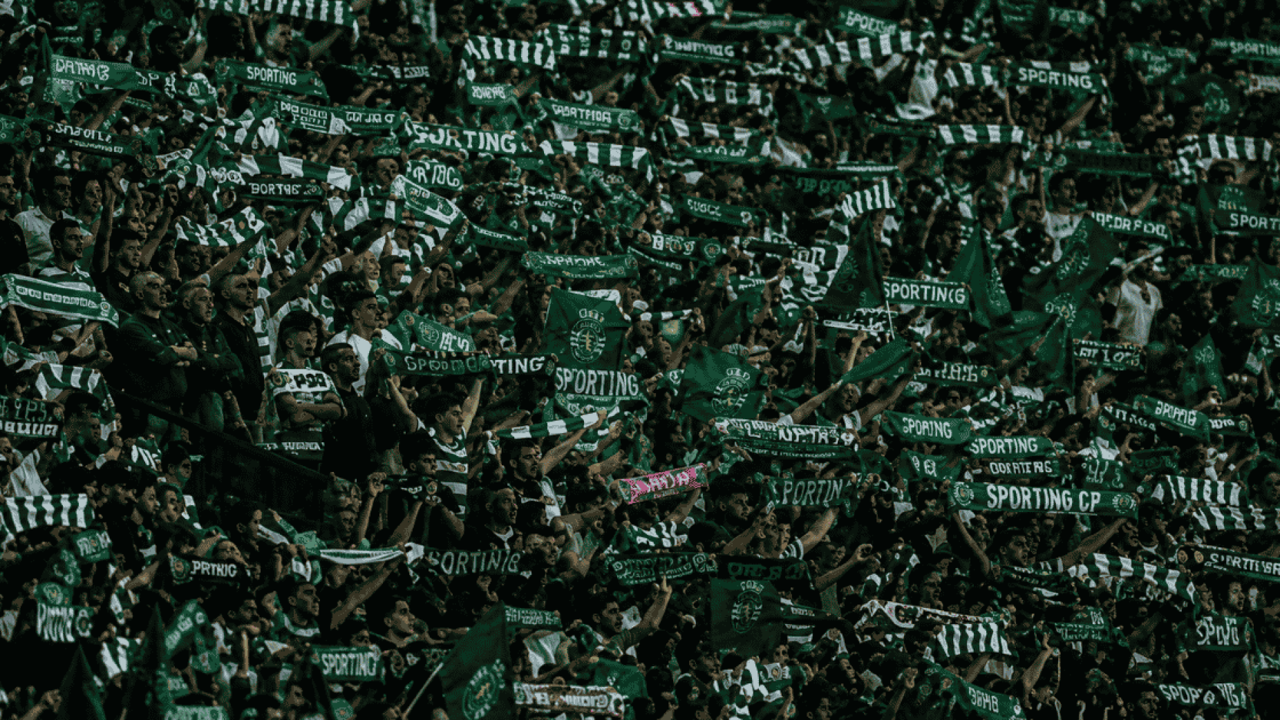O Sporting vai devolver dinheiro aos s&oacute;cios que foram a todos os jogos. At&eacute; 100%.