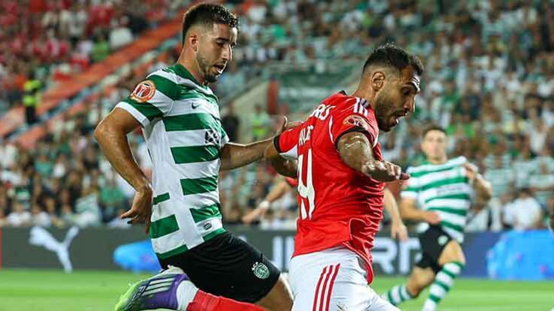 Arantes Fontes ataca Benfica e fala em "corolário de inveja e azia"