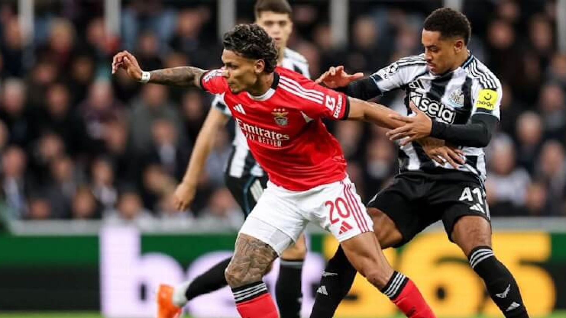 Benfica vergado pelo Newcastle e complica a vida na Champions