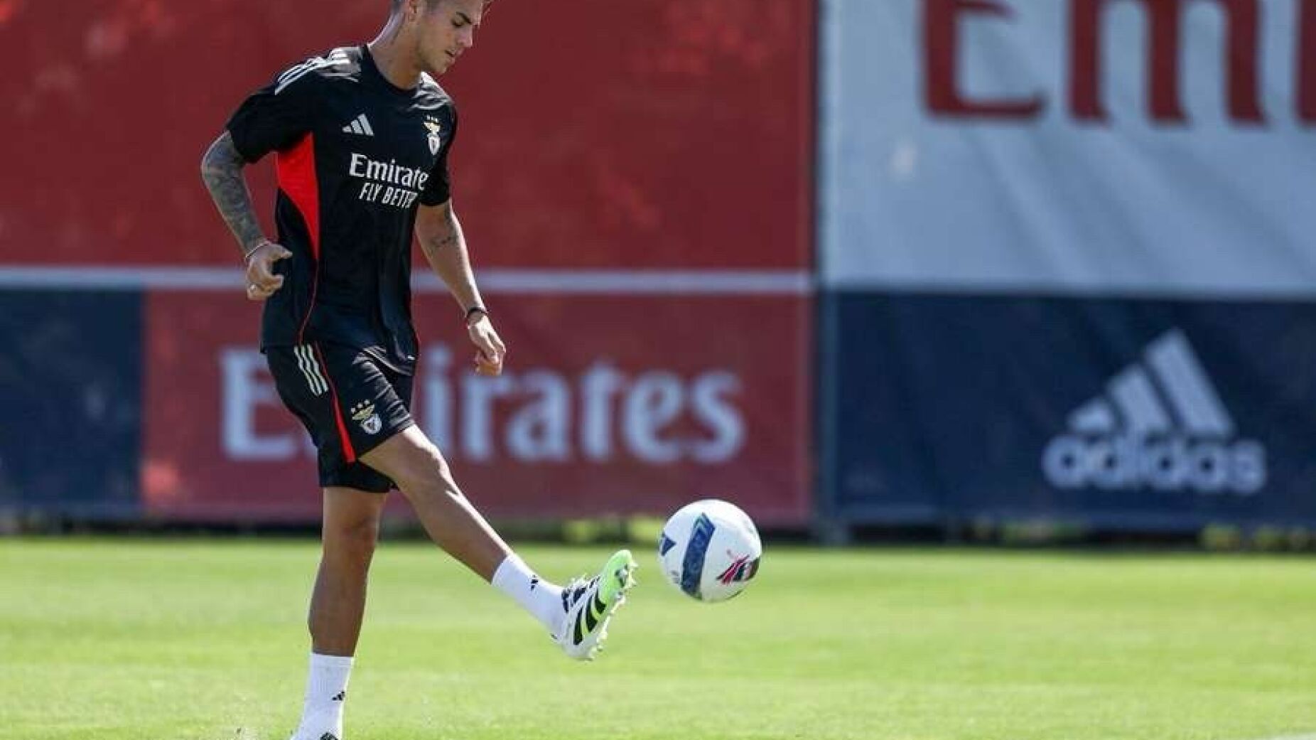 Benfica confirma les&atilde;o de Barrenechea e aguarda exames antes do jogo com o Estoril