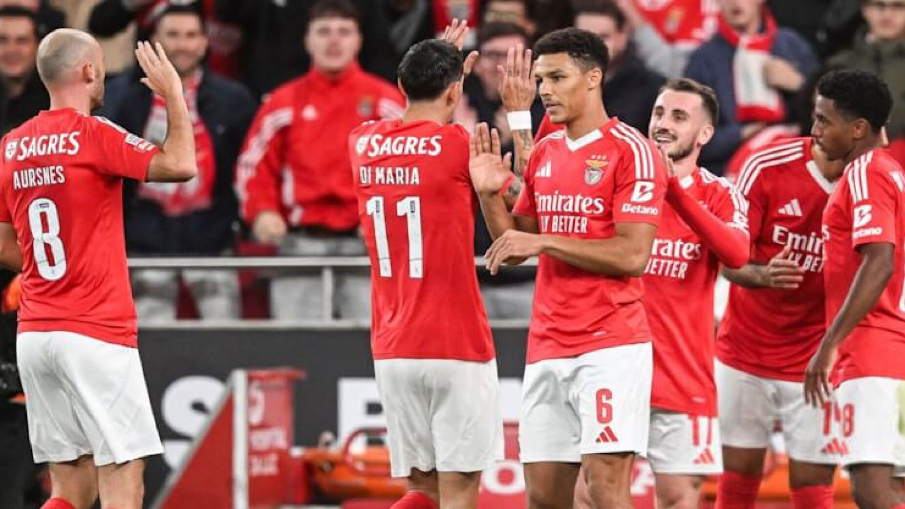 Chegou como grande reforço mas já começa a esgotar a paciência do Benfica