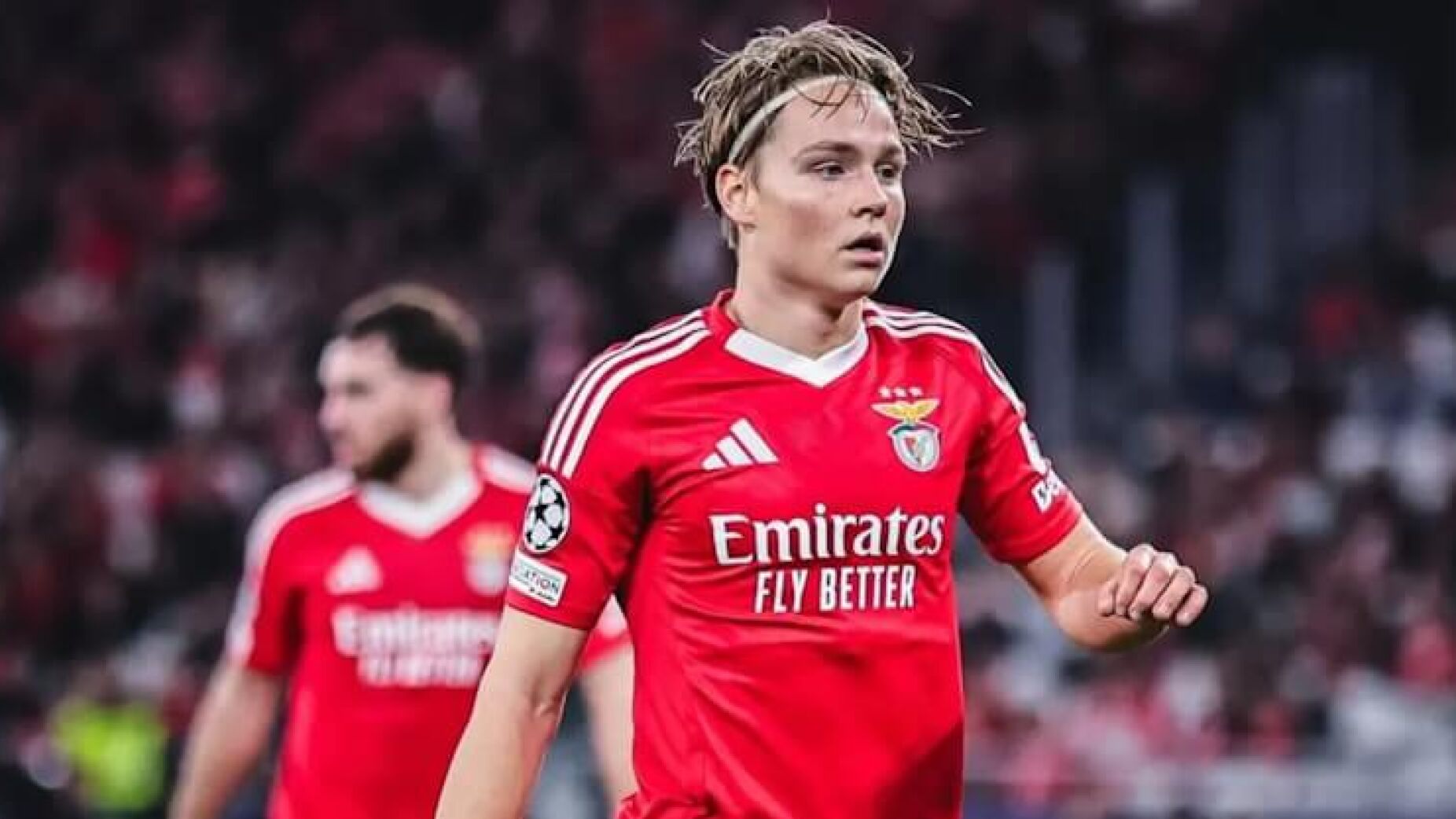 Schjelderup não se cala e reage às críticas de dirigente do Benfica