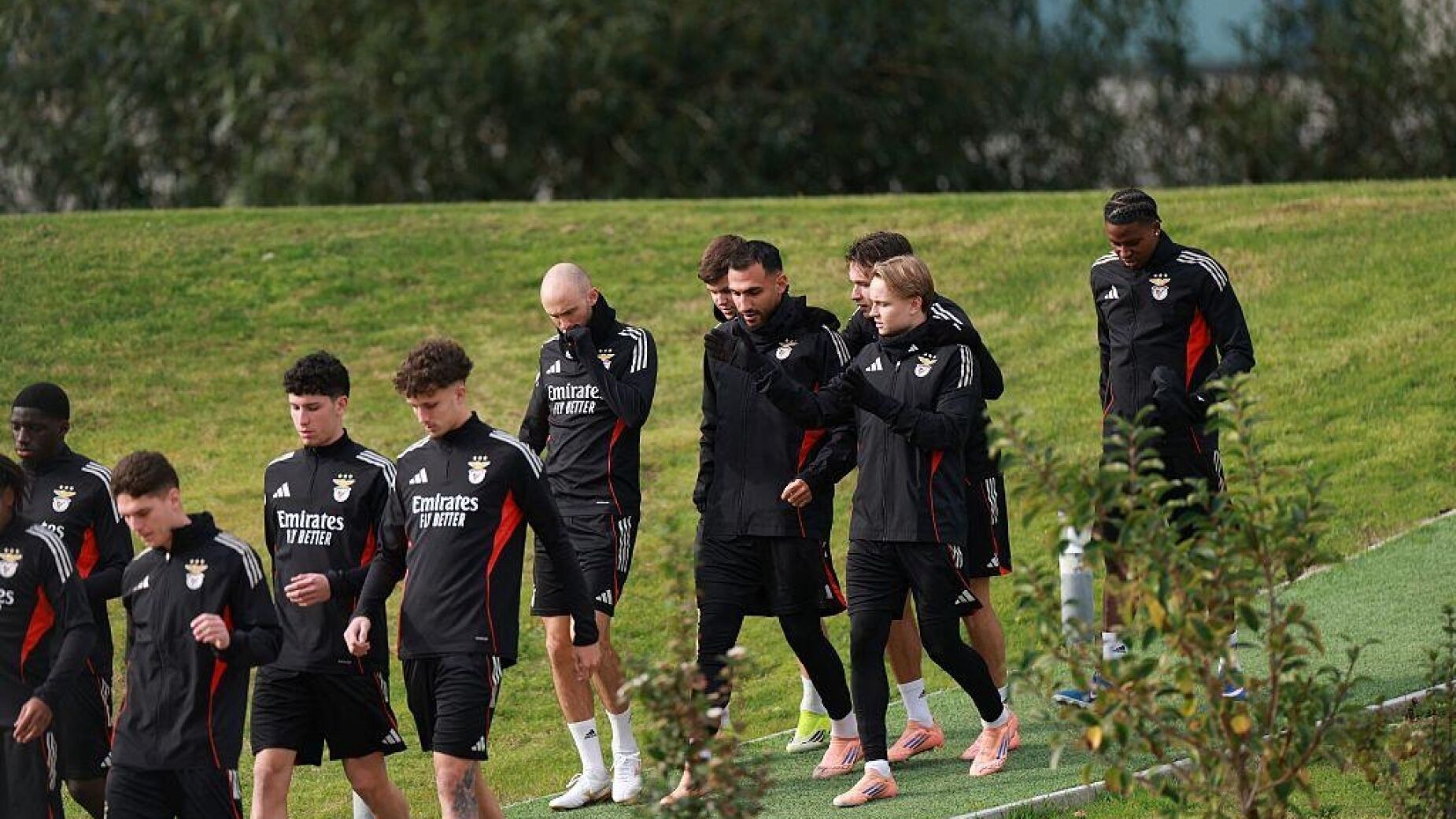 Tr&ecirc;s p&eacute;rolas, tr&ecirc;s cl&aacute;usulas milion&aacute;rias: o plano do Benfica que j&aacute; faz tremer a Europa