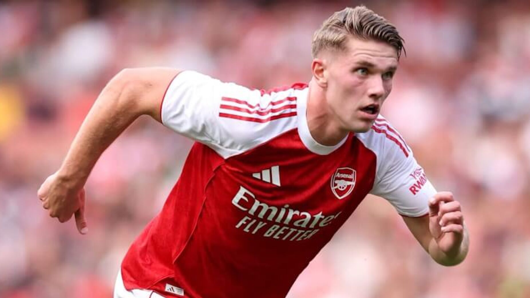 A reação de Gyökeres após o 1º golo pelo Arsenal (VÍDEO)
