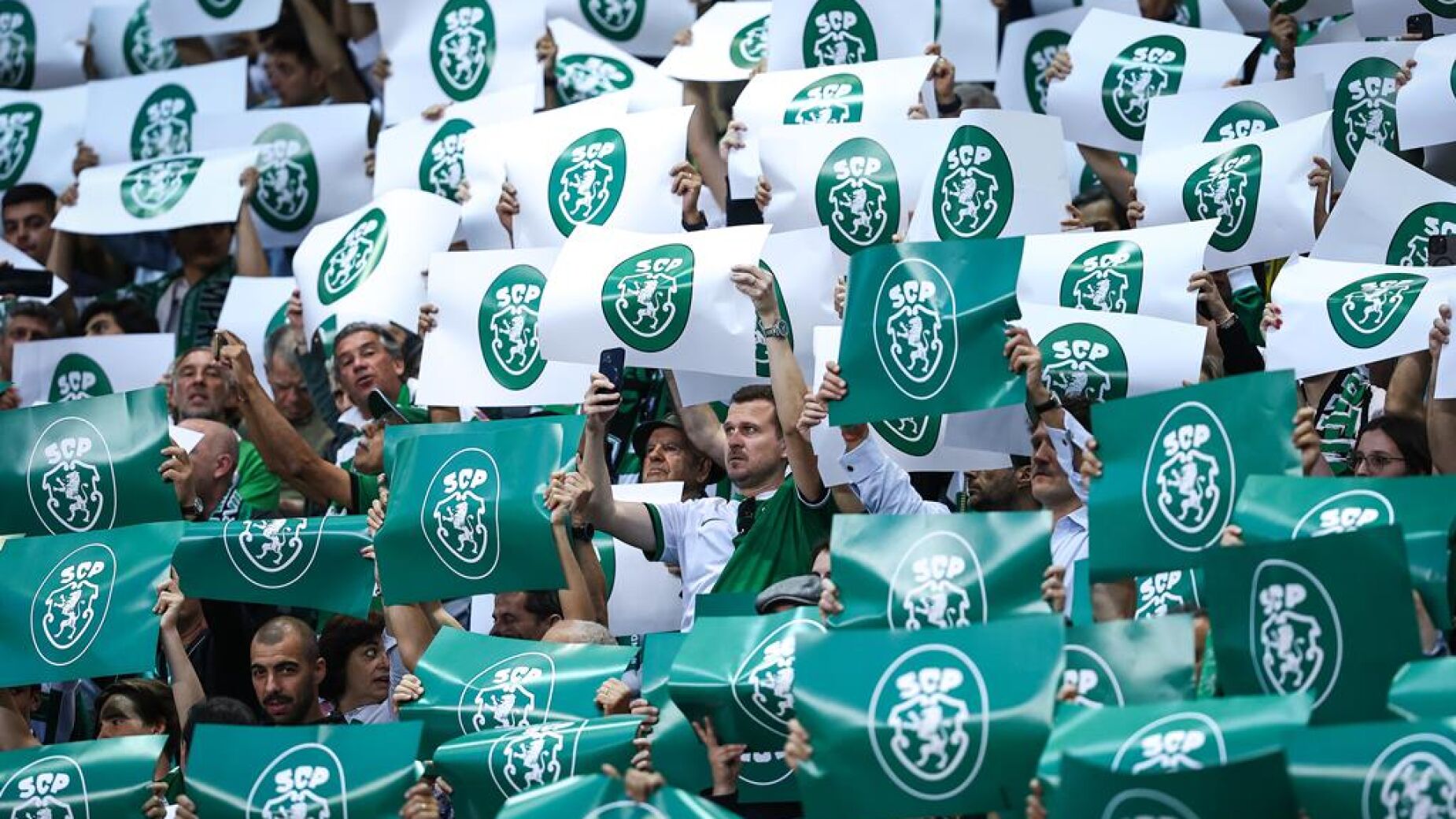 Sete adeptos do Sporting acusados de tentativa de homicídio de apoiantes do FC Porto