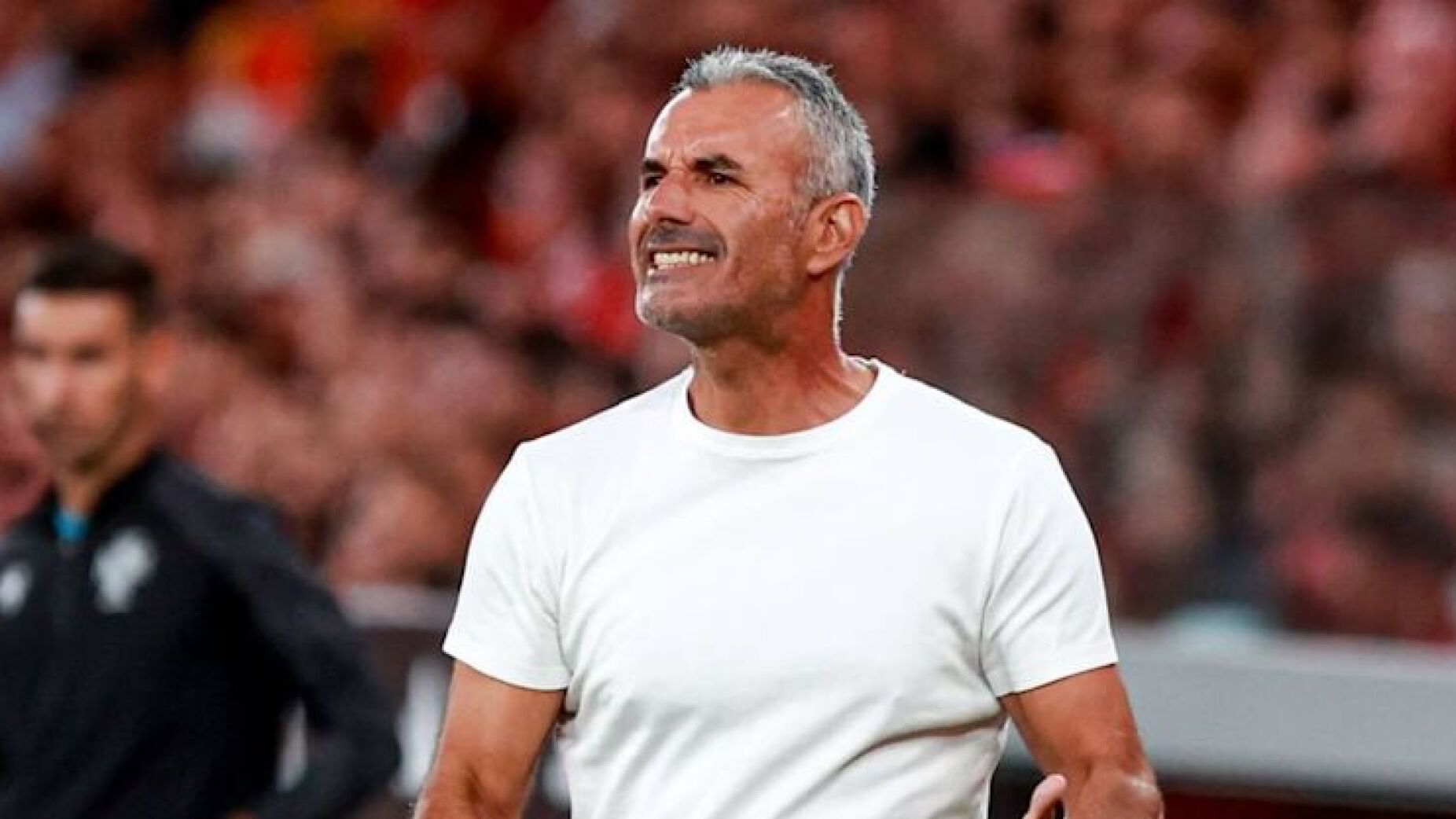 E vão 5: Mais um treinador da I Liga demitido - ÚLTIMA HORA