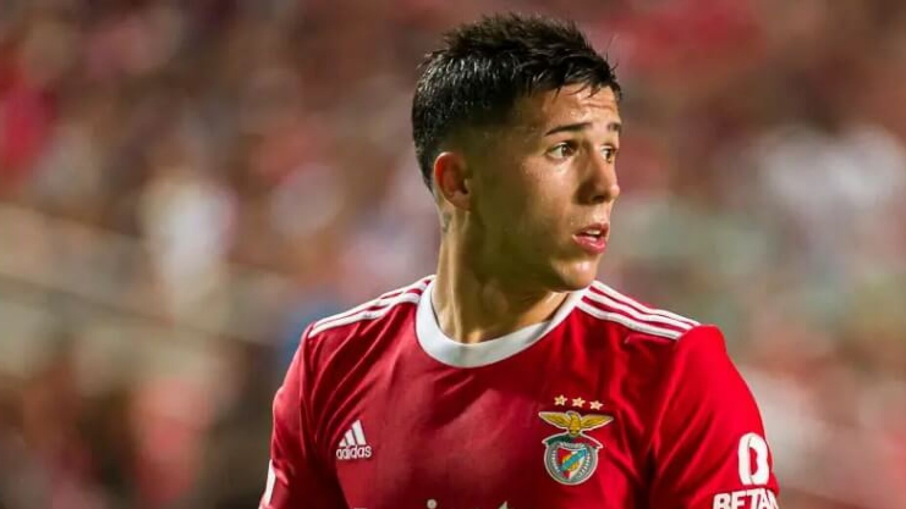 Enzo Fernández faz revelação surpreendente sobre a transferência para o Benfica