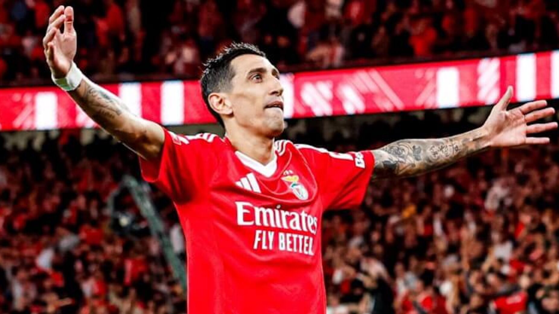 Di Magia em dose tripla e Benfica segue de goleada para os 'oitavos' da Taça