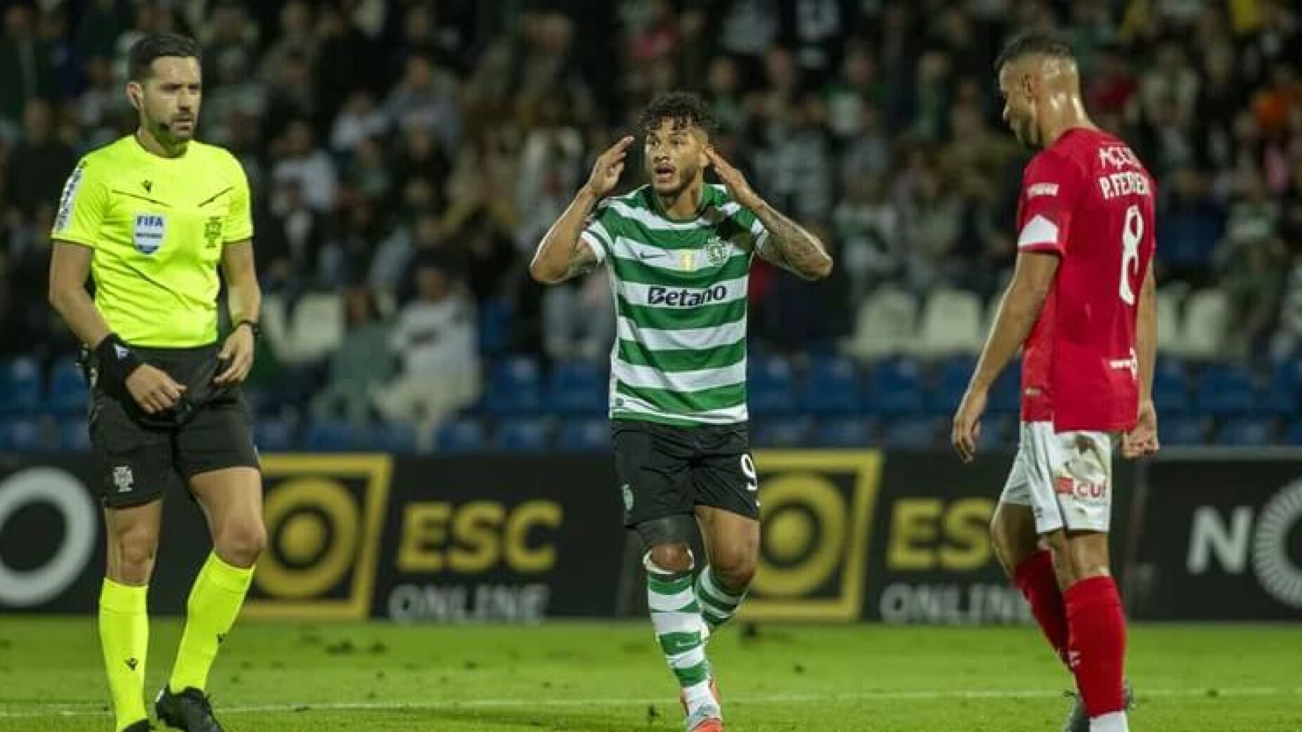 Rea&ccedil;&atilde;o arrasadora Benfica ao pol&eacute;mico golo do Sporting contra o Sta Clara