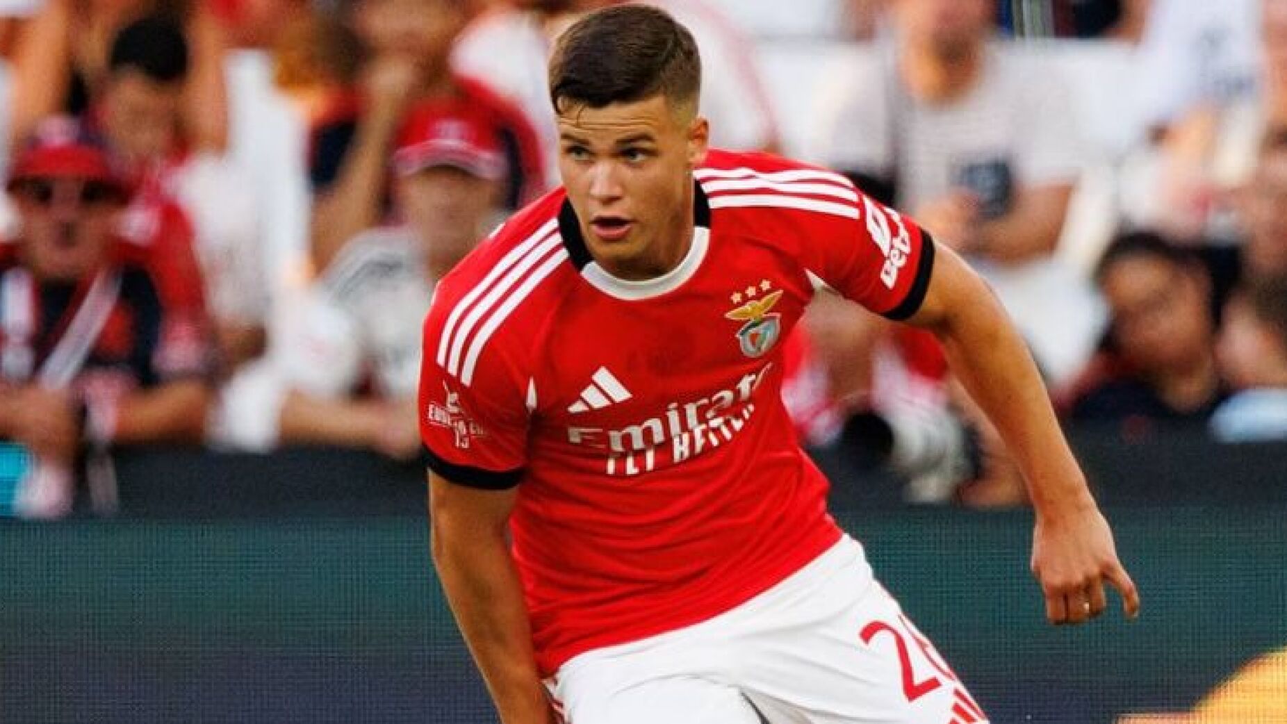 Dahl tem estofo para ser titular no Benfica já esta época? Eis a análise