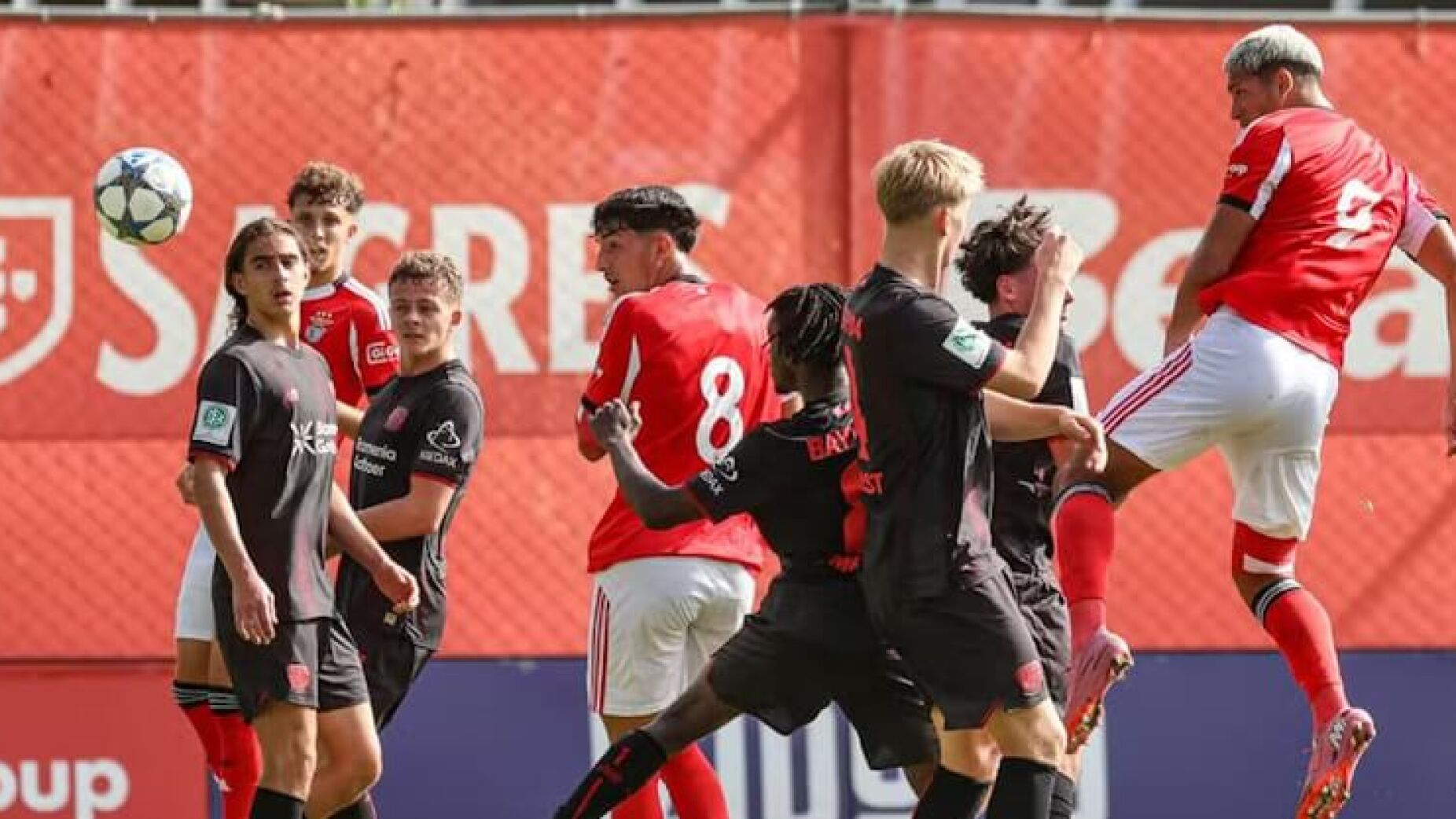 Benfica esmaga Bayer Leverkusen na Youth League (V&Iacute;DEO)