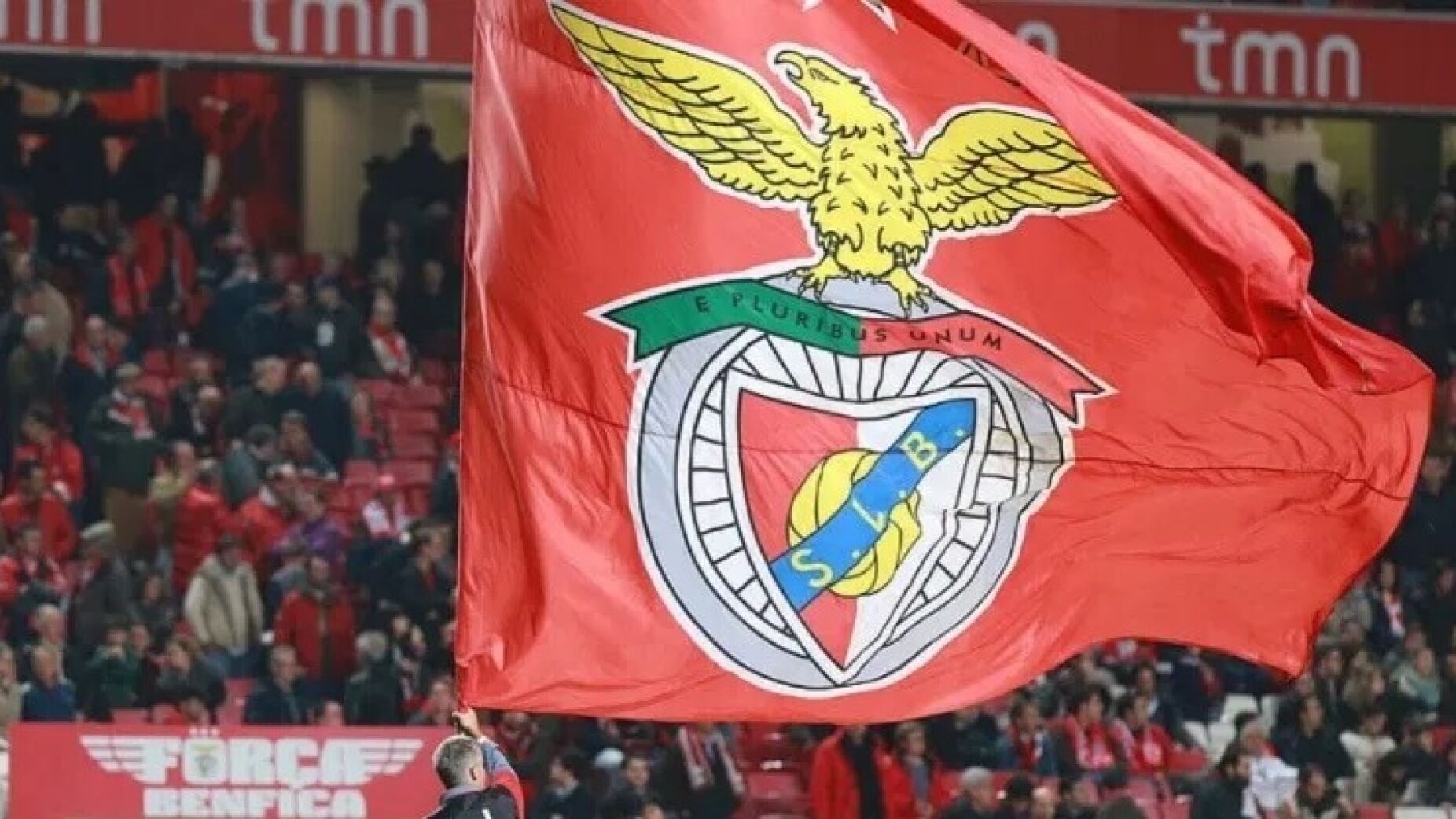 Benfica reage a estudo de Marco Galinha e deixa bicada a FC Porto e Sporting