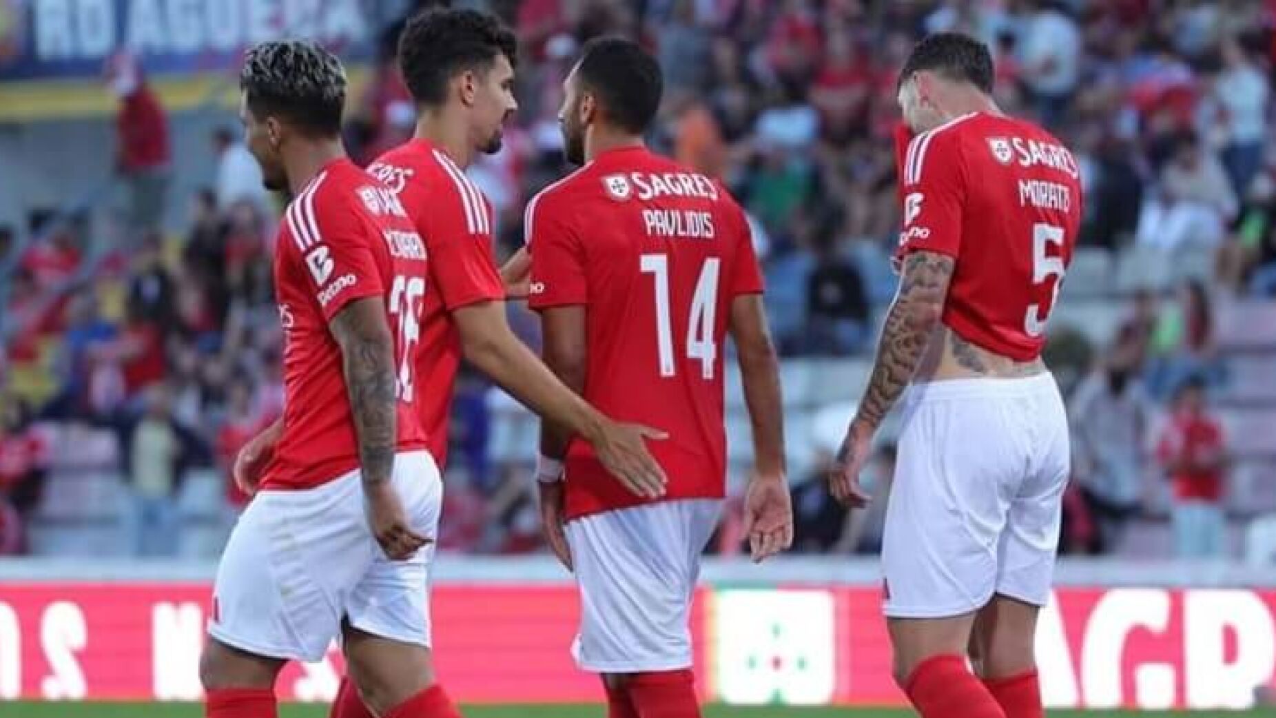 O número assustador de lesionados do Benfica neste início de época