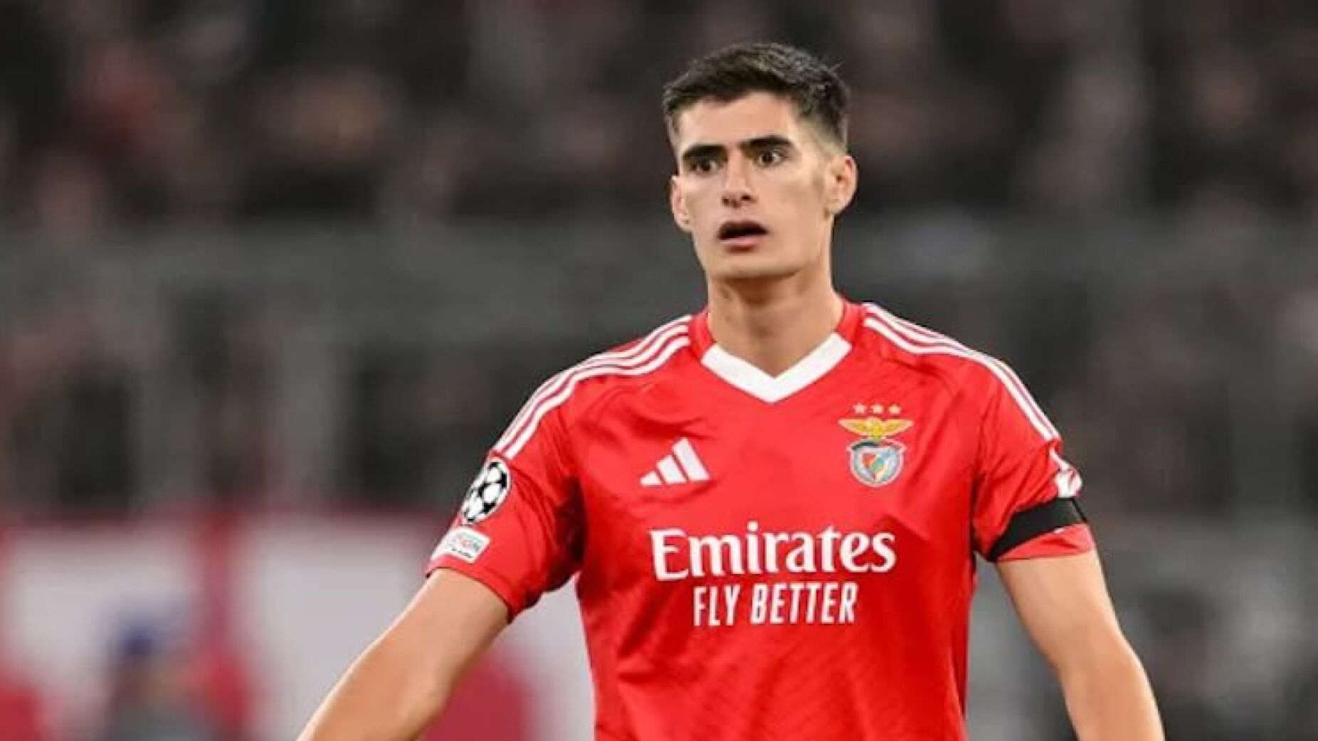 A resposta do Benfica à 1ª oferta da Juventus por António Silva