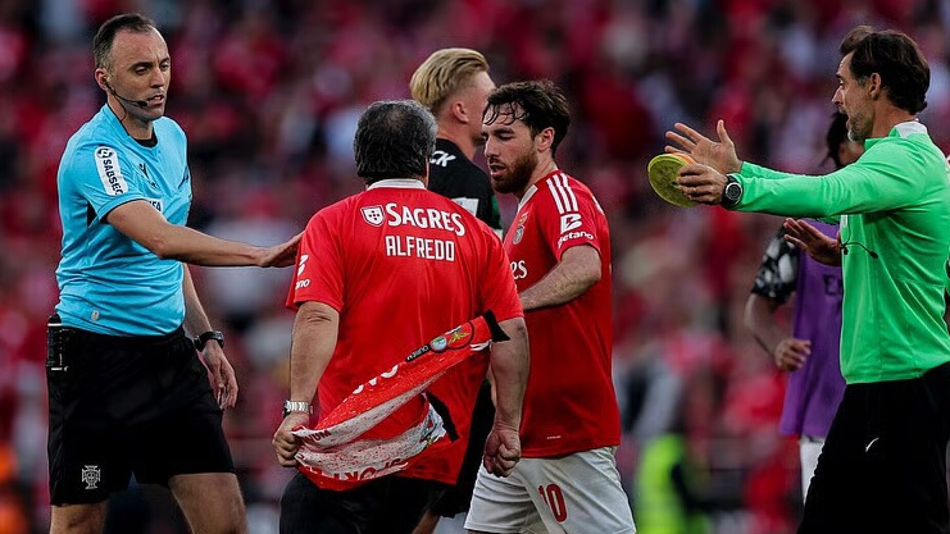 Adepto que invadiu o Benfica-Sporting deixa mensagem a João Pinheiro