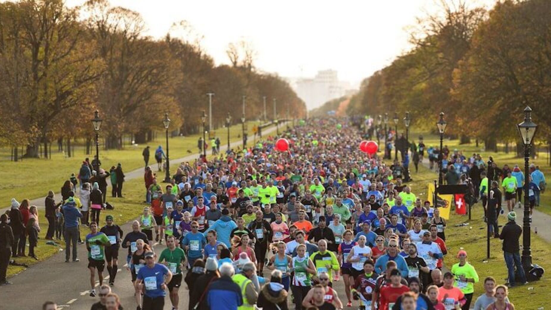 Maratona de Dublin invadida por corrida inesperada de veados
