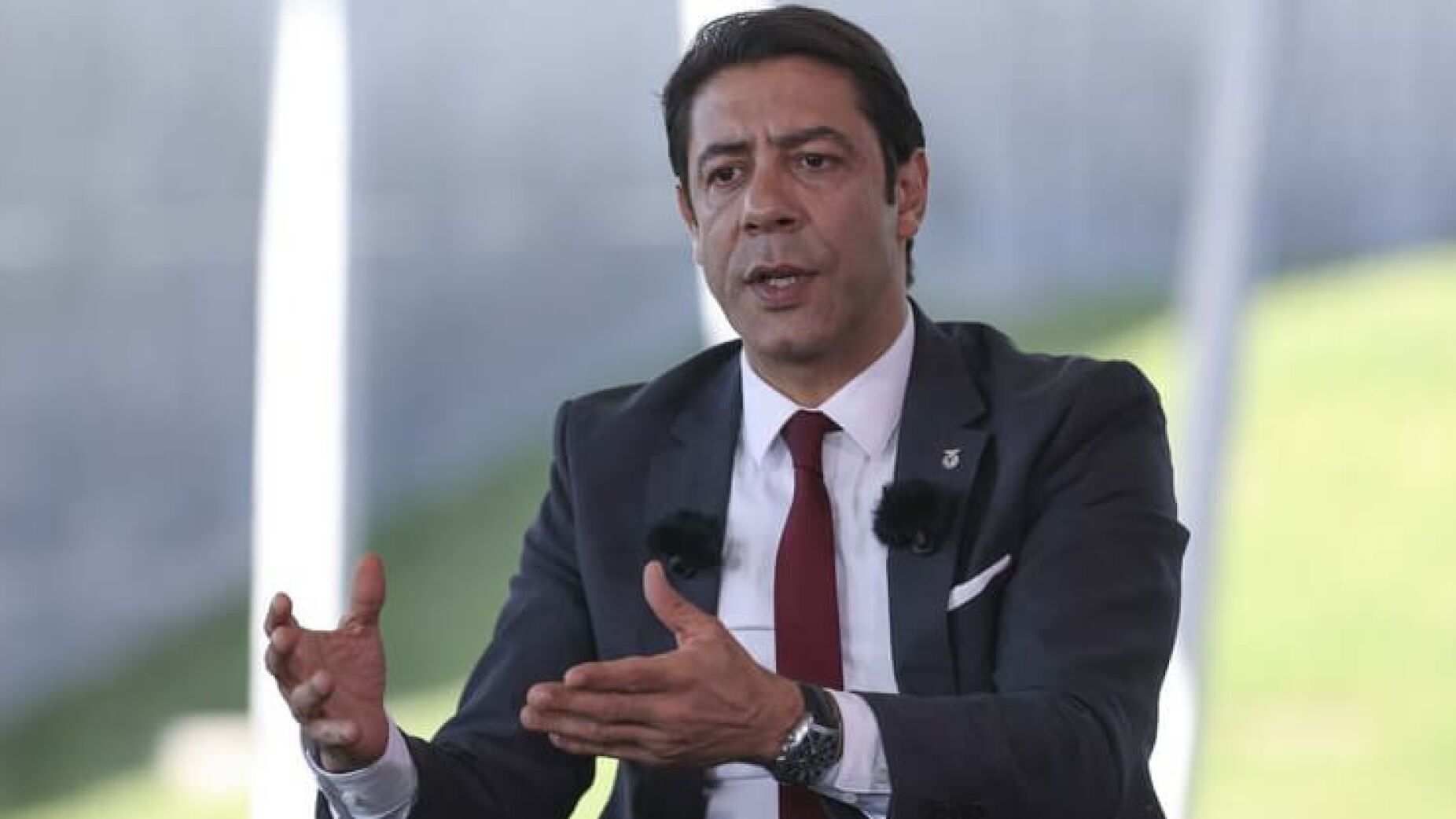 "Rui Costa não tem condições para continuar à frente do Benfica"
