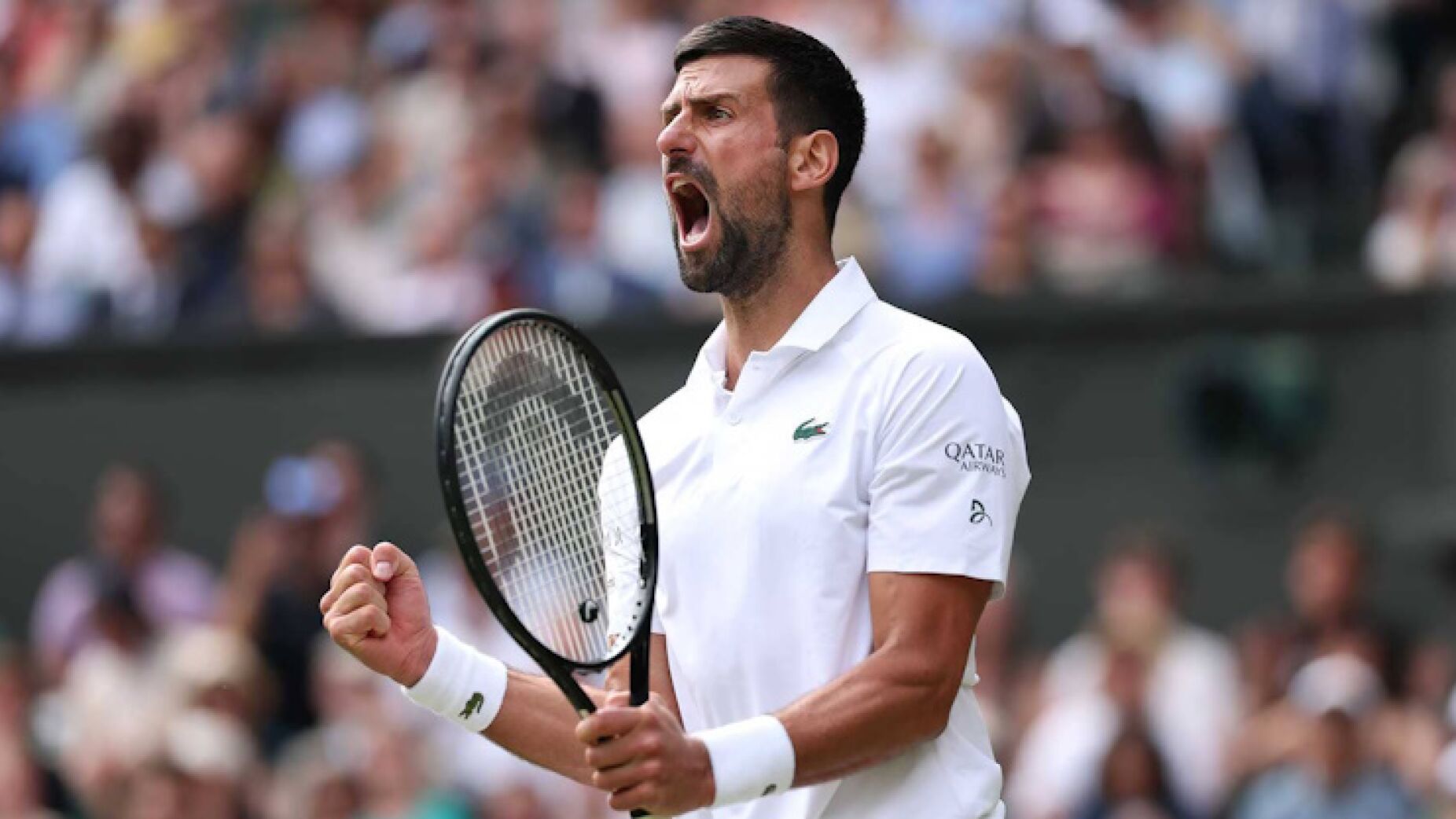 Djokovic nos 'quartos' com vista ao 8º título em Wimbledon