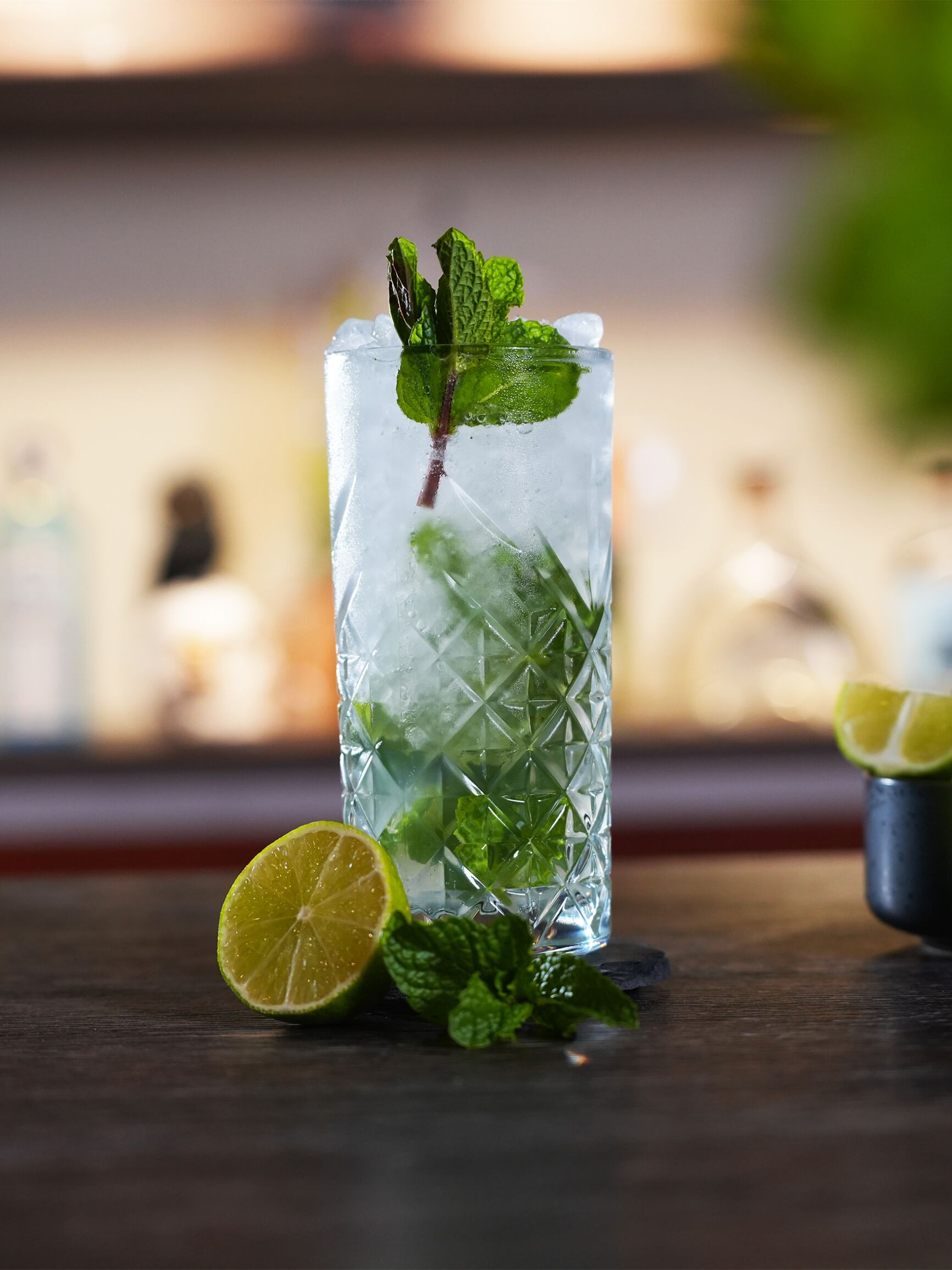 Mojito: the perfect cocktail for hot days