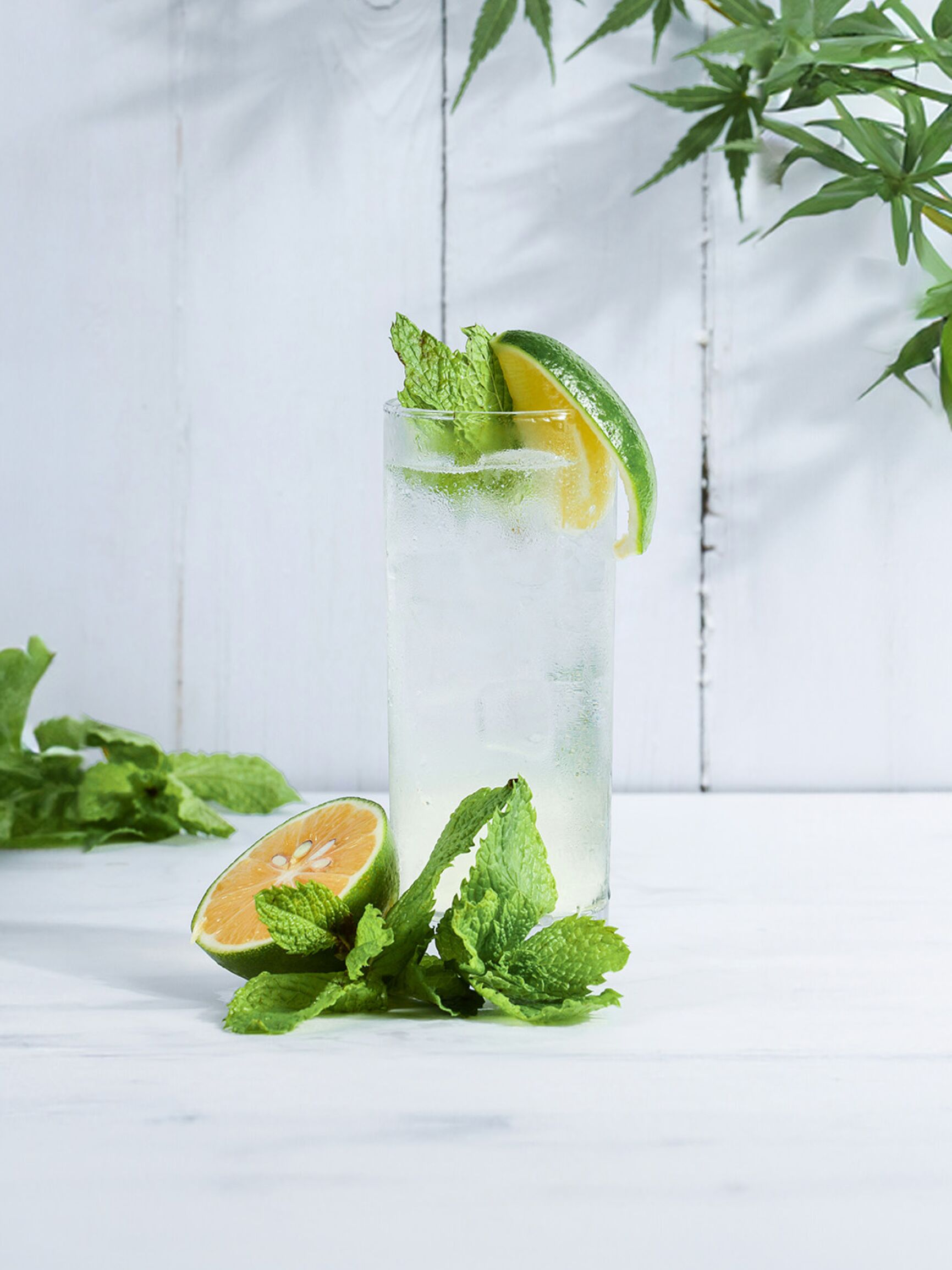 Healthy Mojito