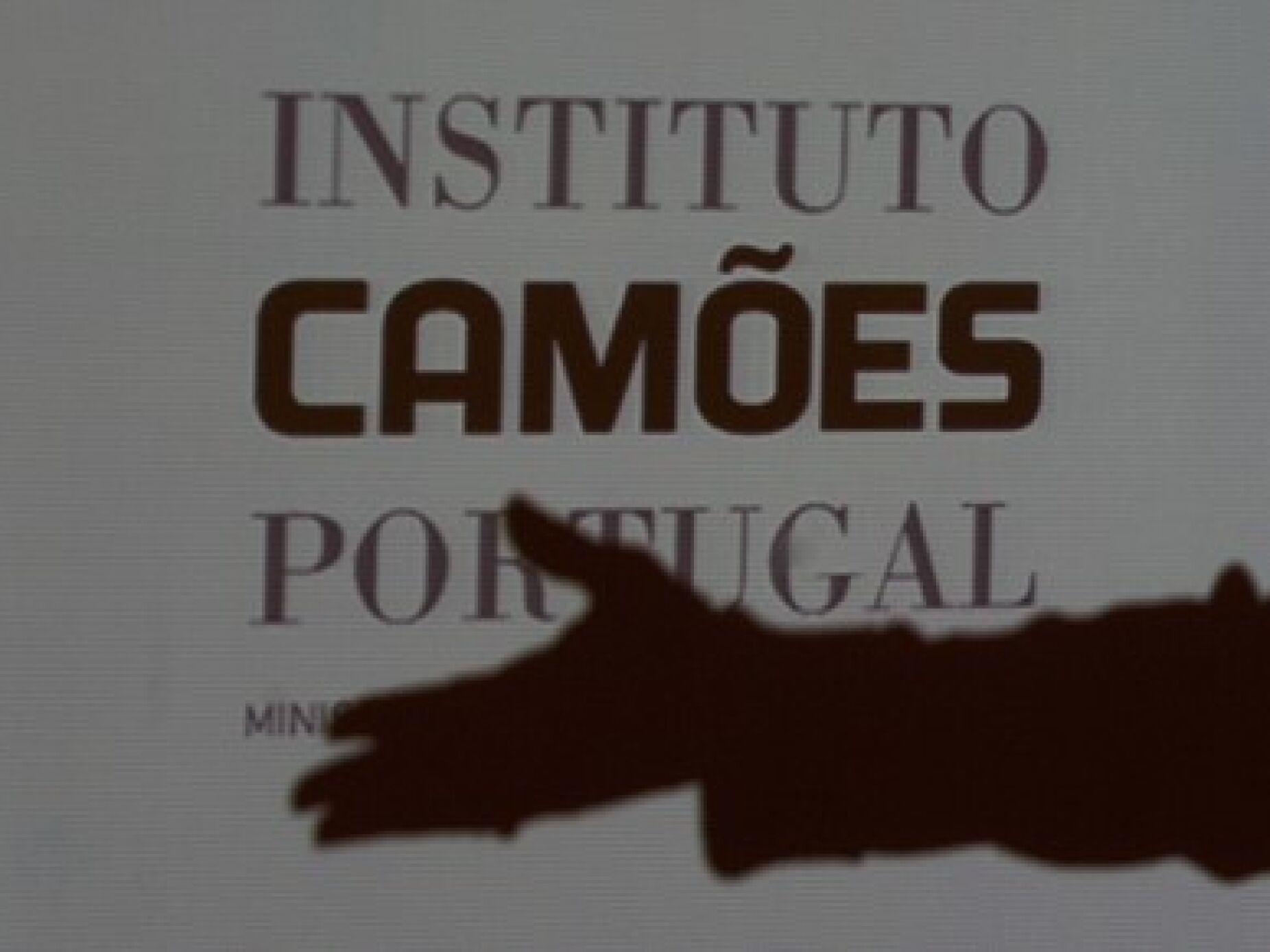 “A resposta não está debaixo da roupa”. CDS questiona MNE sobre aulas de português do Instituto Camões