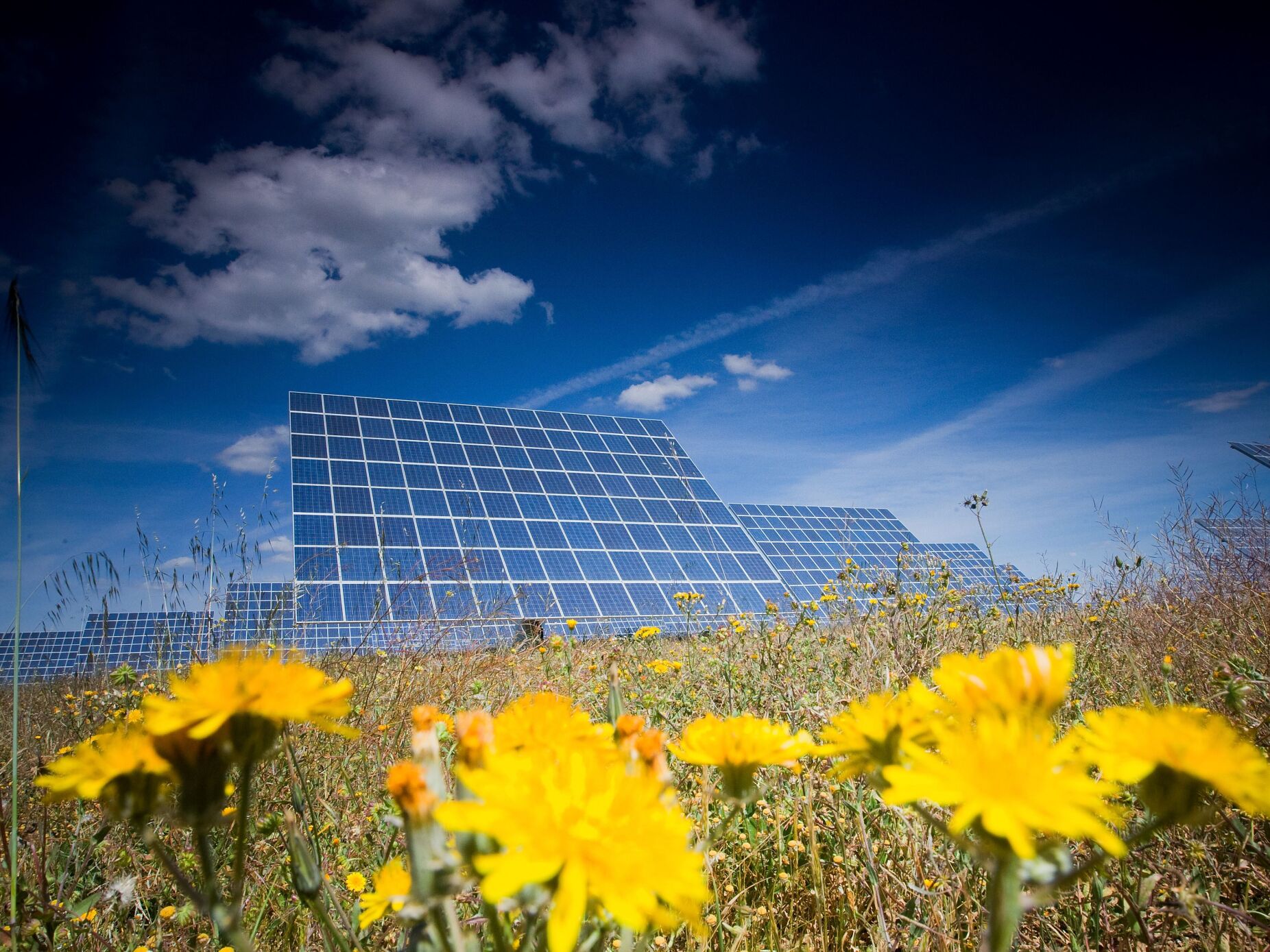 Portugal já assegurou ano recorde na produção de energia solar