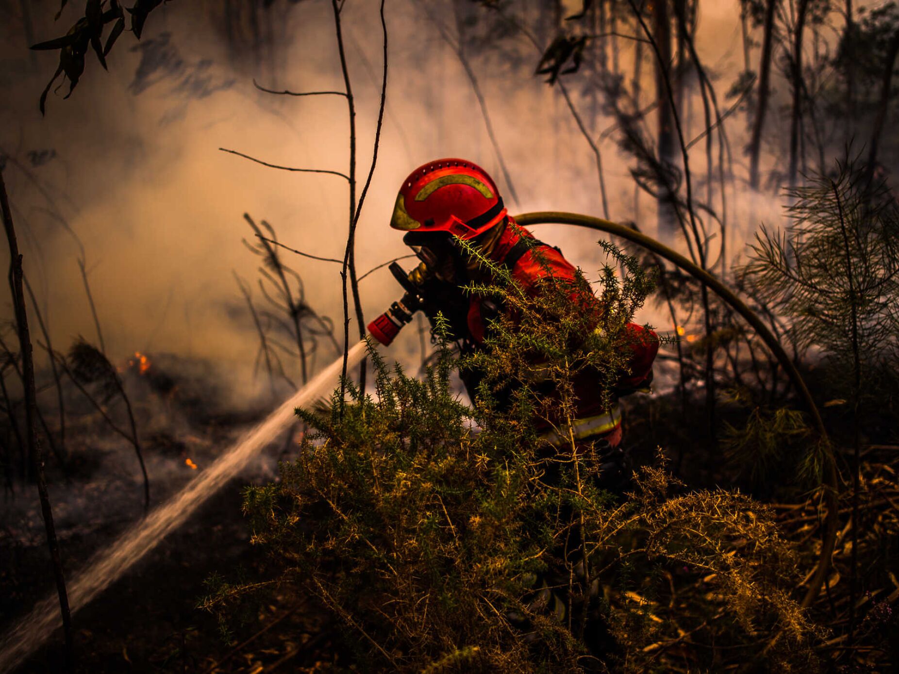 Fogo por controlar combatido com apoio de 7 meios aéreos em Arcos de Valdevez