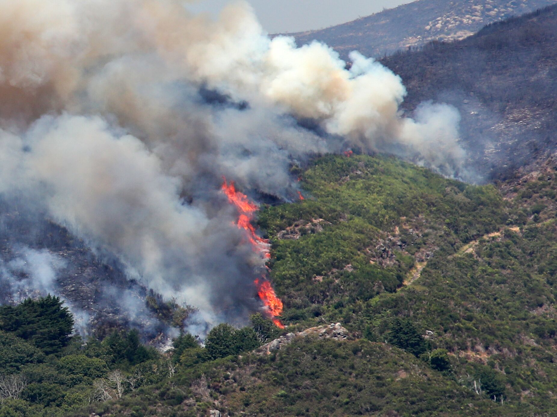 MAI envia equipa para ajudar a combater fogos na Madeira