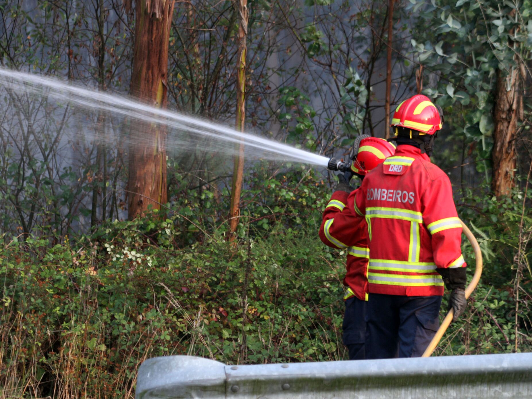 Dois fogos mobilizam 274 operacionais e 12 meios aéreos no distrito da Guarda