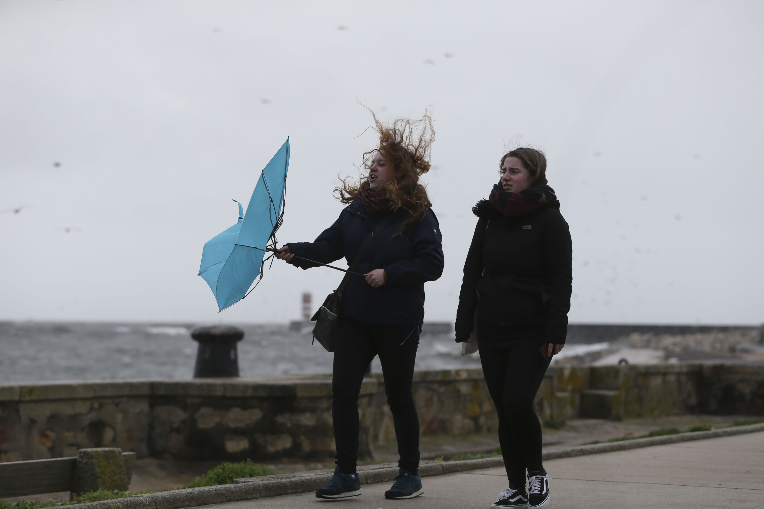 Strong Winds Alert for Lisbon District: Prepare for Gusts Up to 75 km/h!