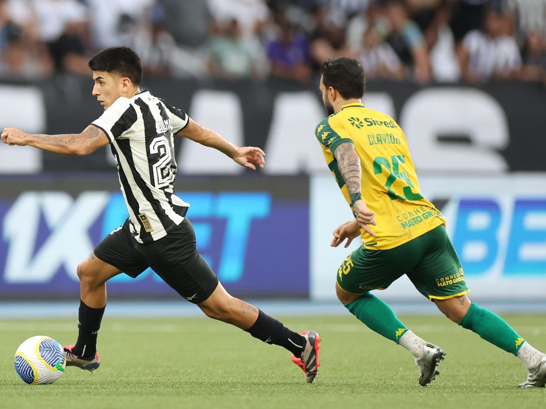 Botafogo empata e Palmeiras fica a quatro pontos