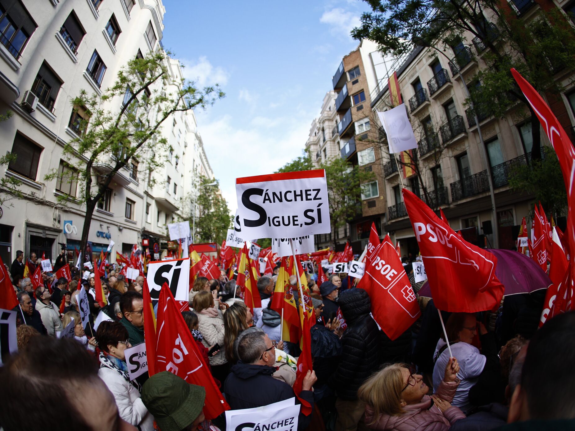 "Pedro, fica". PSOE denuncia "guerra suja" da direita e pede a Sánchez que não se demita