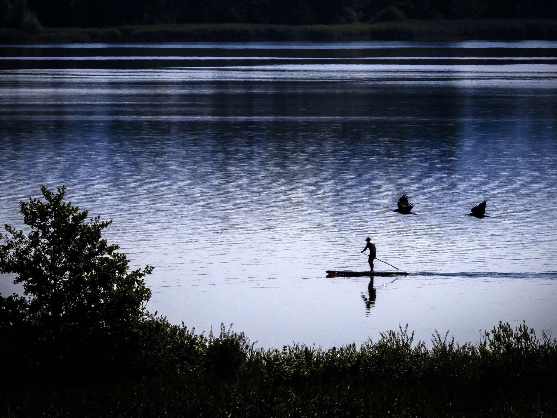 Retomadas buscas para encontrar praticante de "stand up paddle" desaparecido no rio Arade