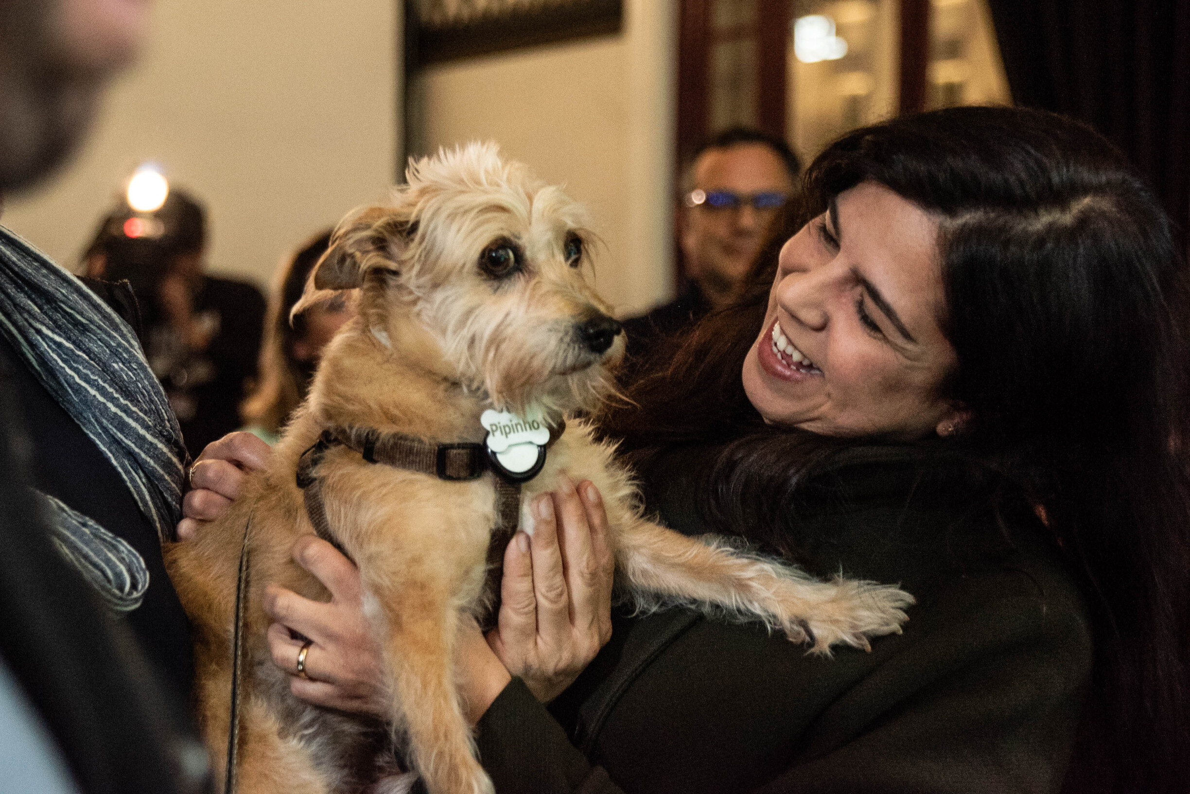 Pan Quer Proibir Venda De Animais No Natal Para Combater Abandono