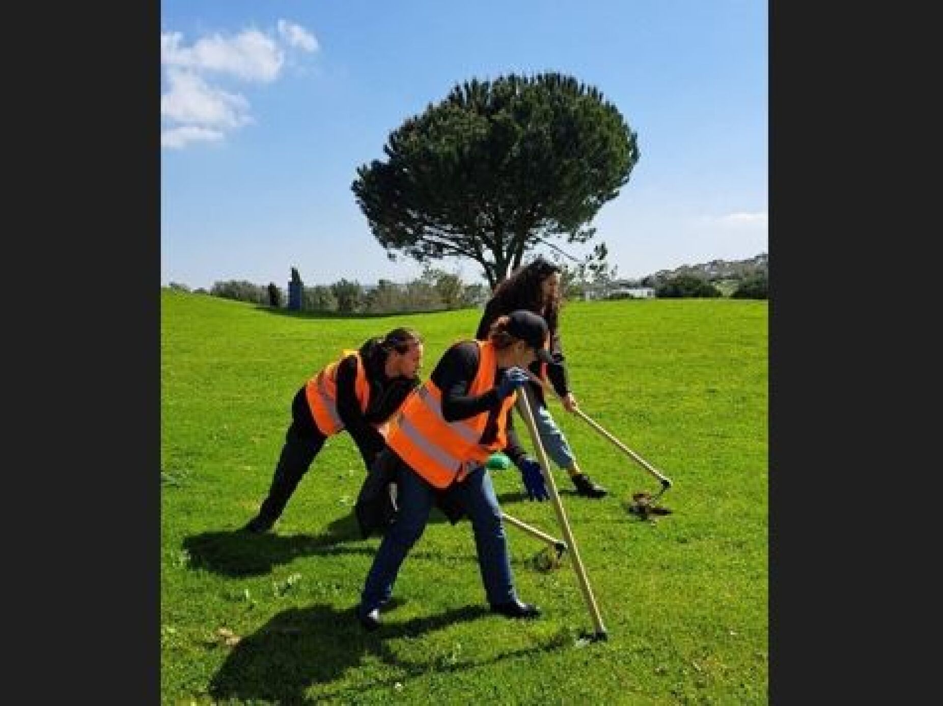 Ativistas pelo clima transformam campo de golfe de Oeiras em horta urbana