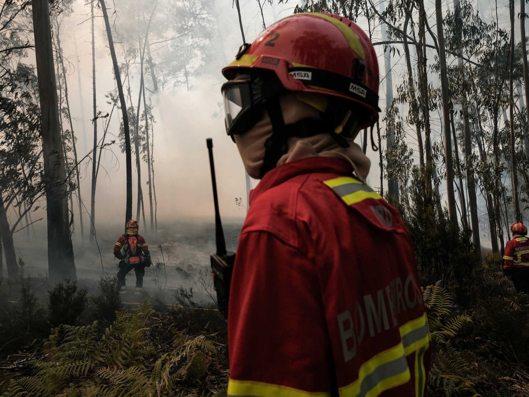 Mais de 50 concelhos de oito distritos em perigo máximo de incêndio