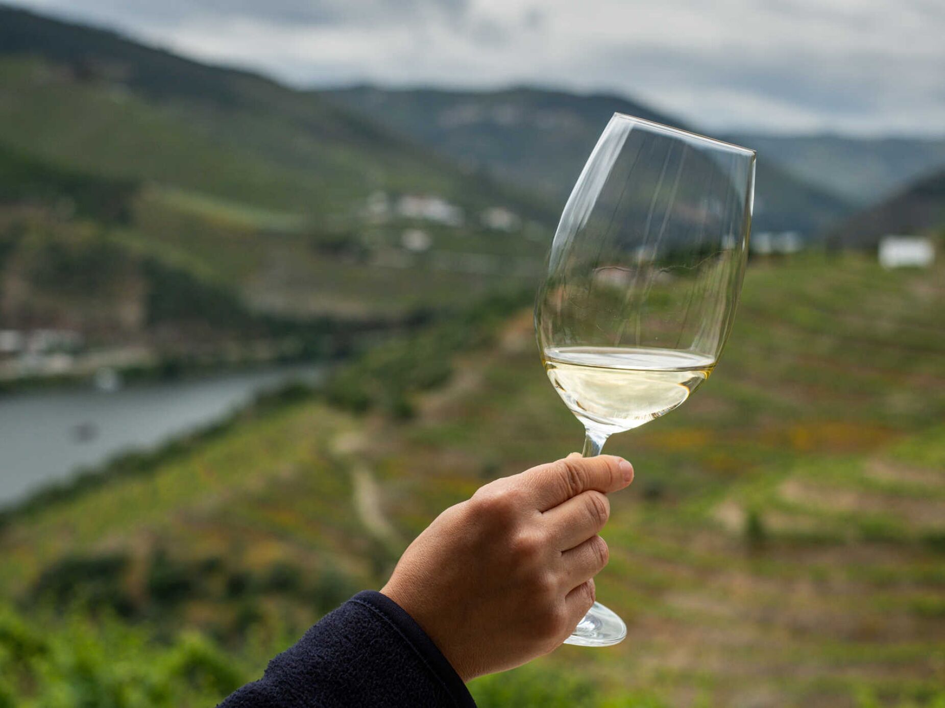 Outubro foi o melhor mês de sempre das exportações de vinho